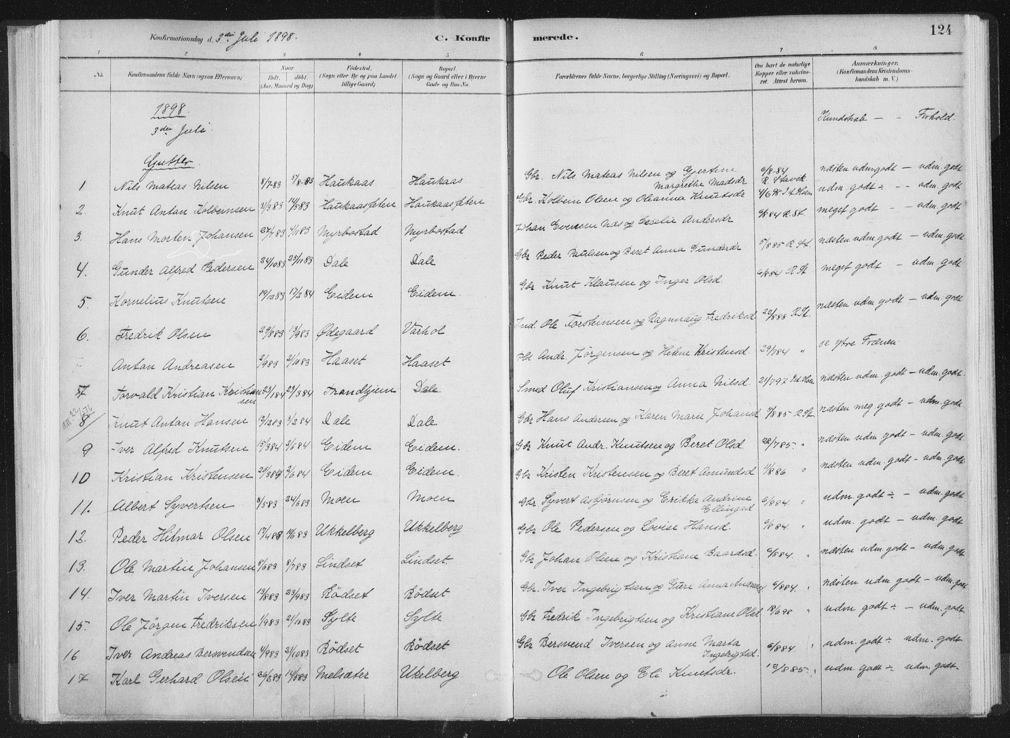 Ministerialprotokoller, klokkerbøker og fødselsregistre - Møre og Romsdal, AV/SAT-A-1454/564/L0740: Parish register (official) no. 564A01, 1880-1899, p. 124