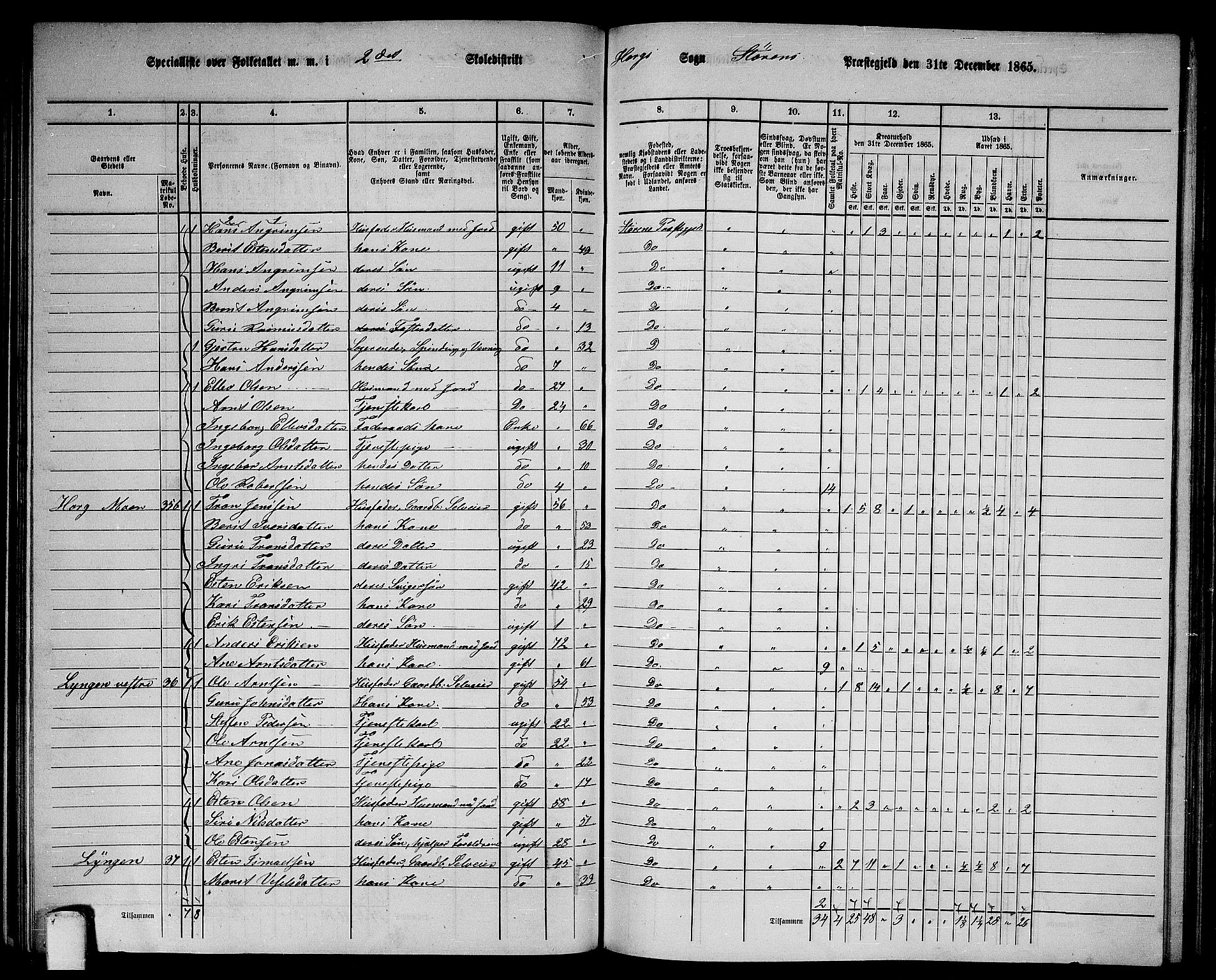 RA, 1865 census for Støren, 1865, p. 136