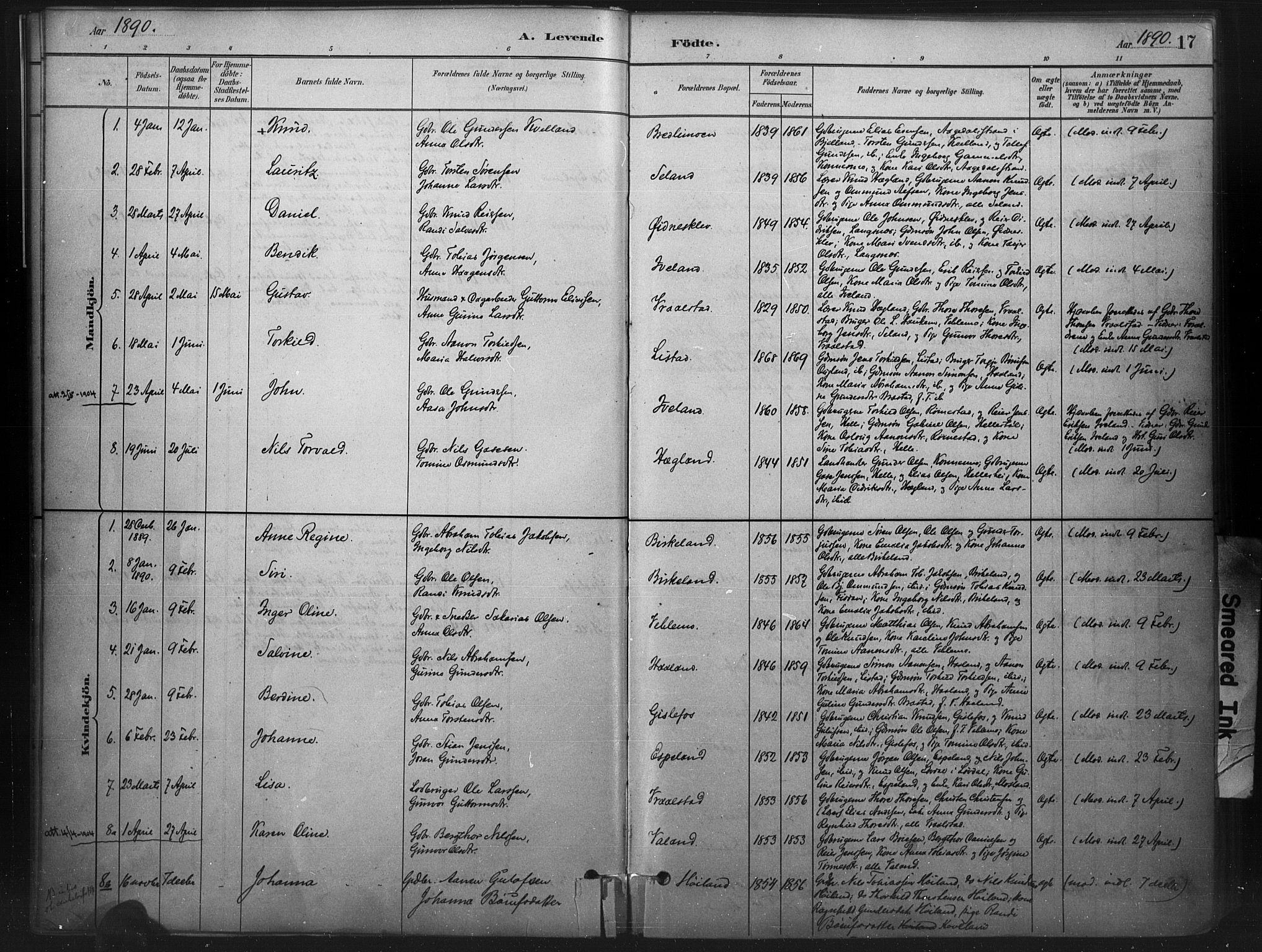 Nord-Audnedal sokneprestkontor, AV/SAK-1111-0032/F/Fa/Faa/L0003: Parish register (official) no. A 3, 1882-1900, p. 17