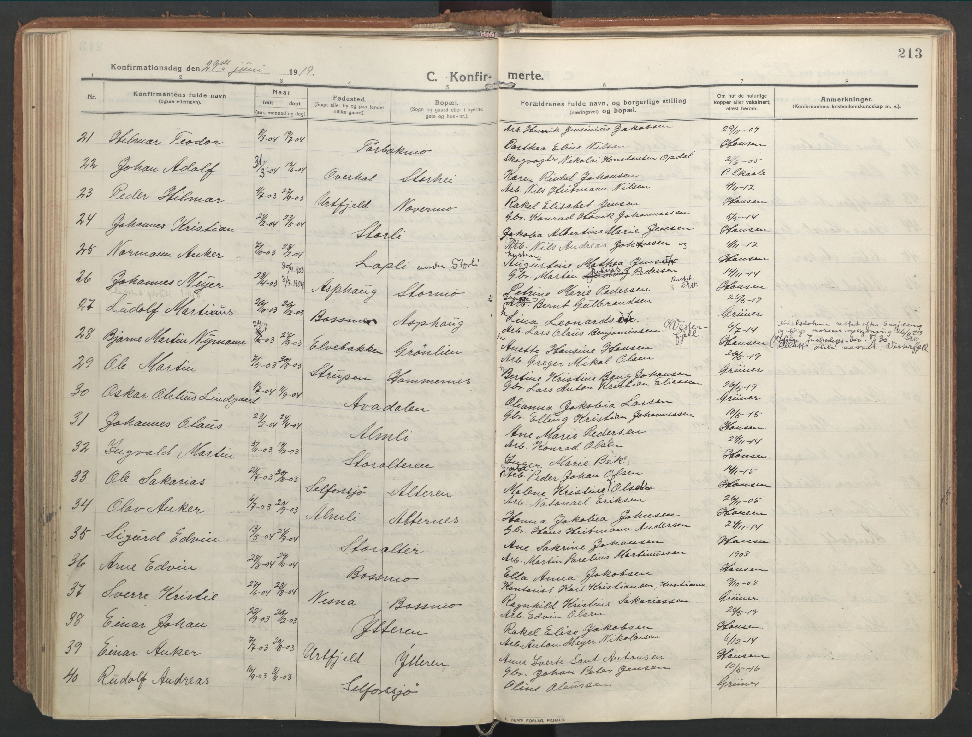 Ministerialprotokoller, klokkerbøker og fødselsregistre - Nordland, SAT/A-1459/827/L0404: Parish register (official) no. 827A16, 1912-1925, p. 213