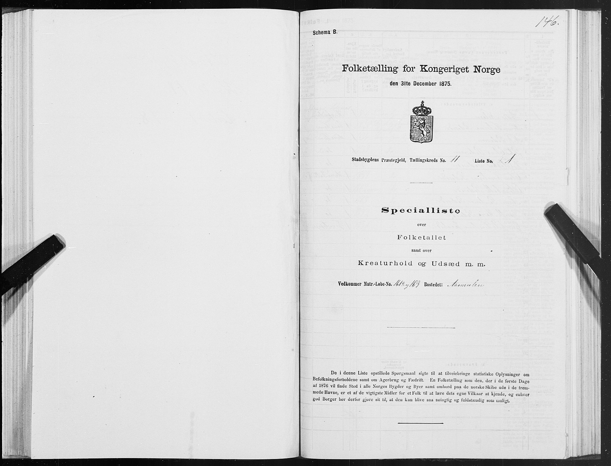 SAT, 1875 census for 1625P Stadsbygd, 1875, p. 6146