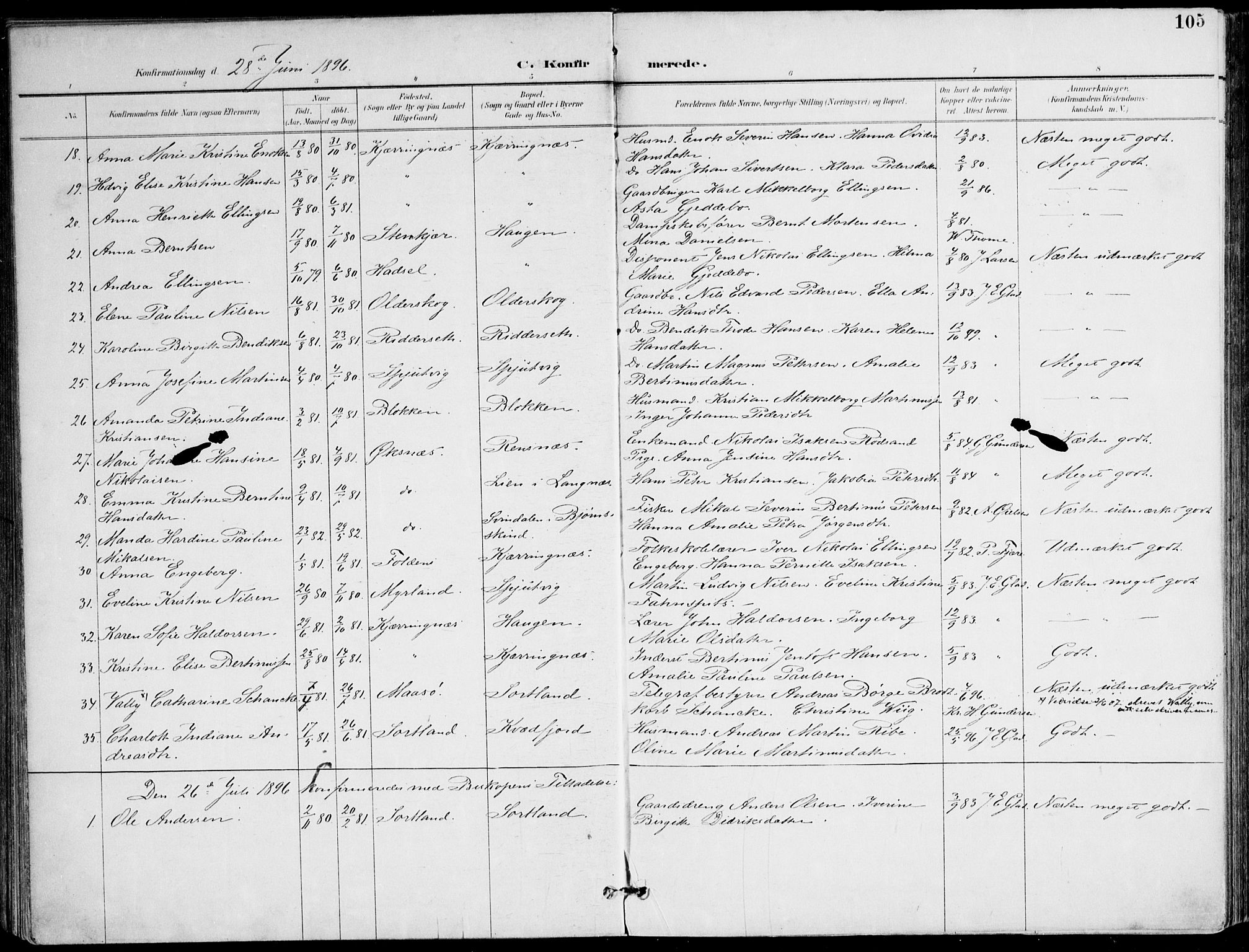 Ministerialprotokoller, klokkerbøker og fødselsregistre - Nordland, AV/SAT-A-1459/895/L1372: Parish register (official) no. 895A07, 1894-1914, p. 105