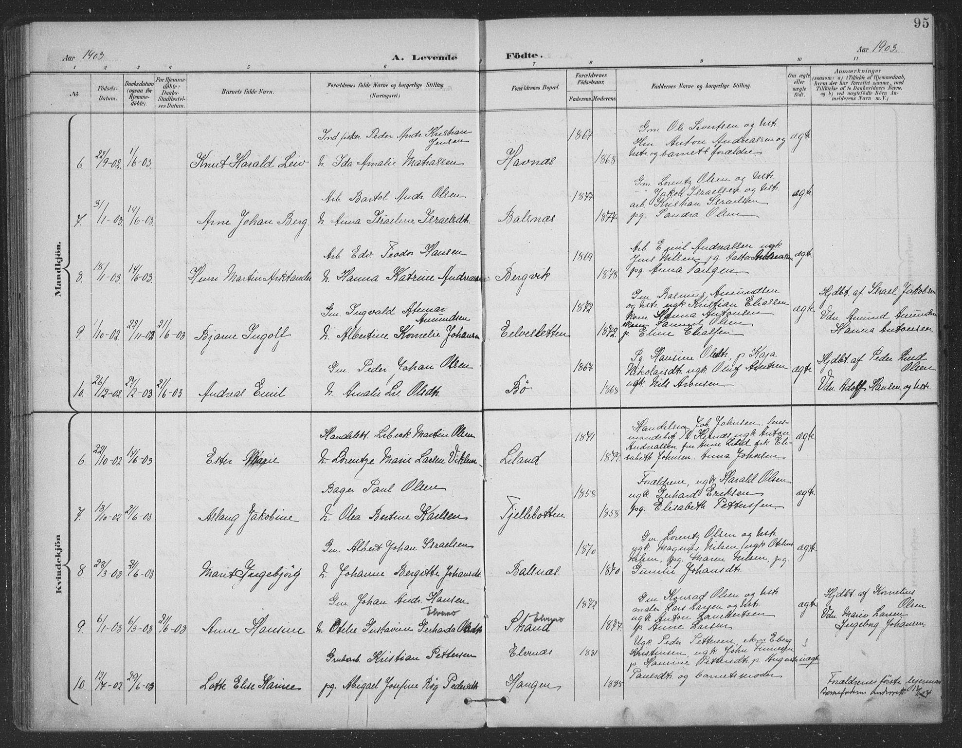 Ministerialprotokoller, klokkerbøker og fødselsregistre - Nordland, SAT/A-1459/863/L0899: Parish register (official) no. 863A11, 1897-1906, p. 95