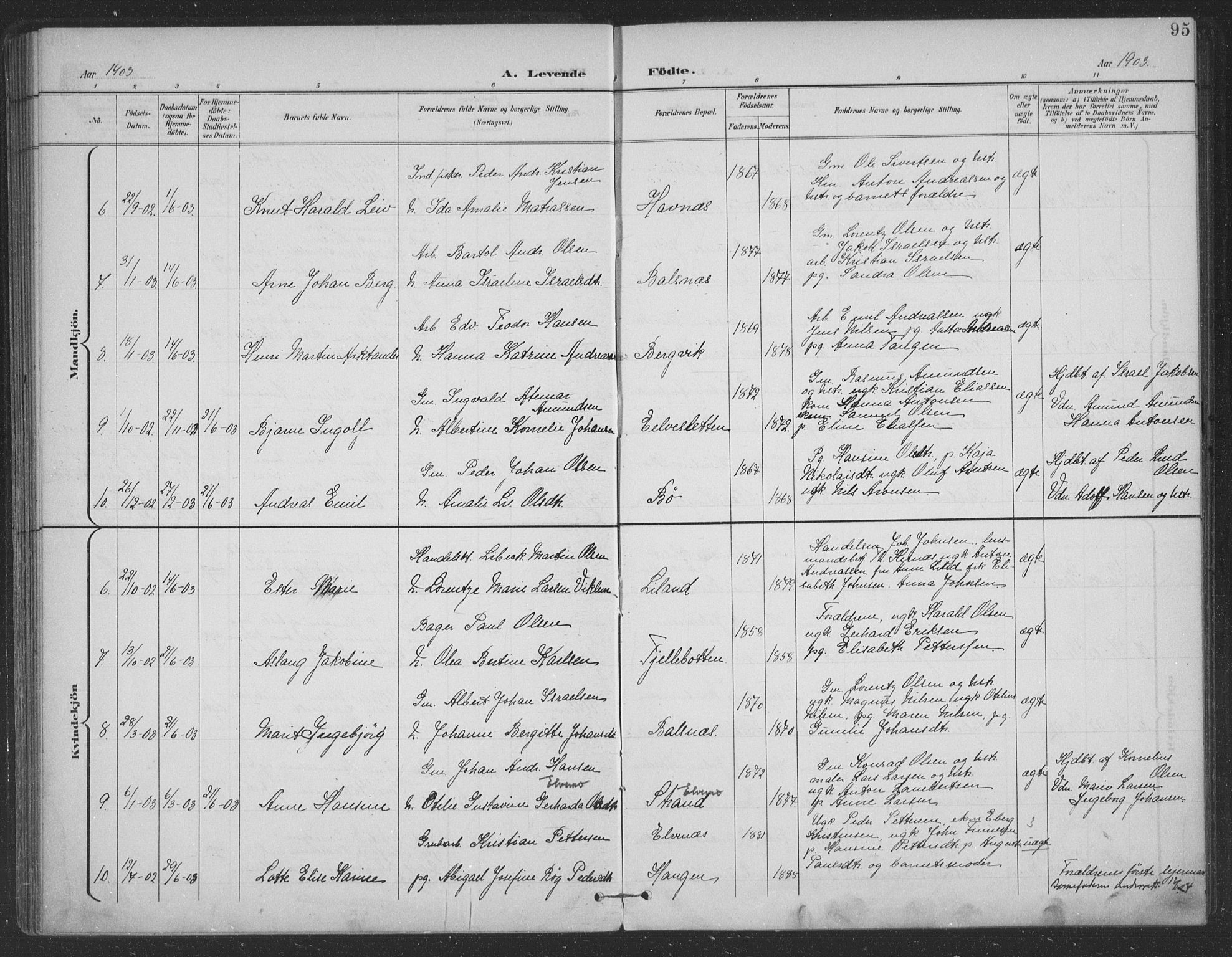 Ministerialprotokoller, klokkerbøker og fødselsregistre - Nordland, AV/SAT-A-1459/863/L0899: Parish register (official) no. 863A11, 1897-1906, p. 95