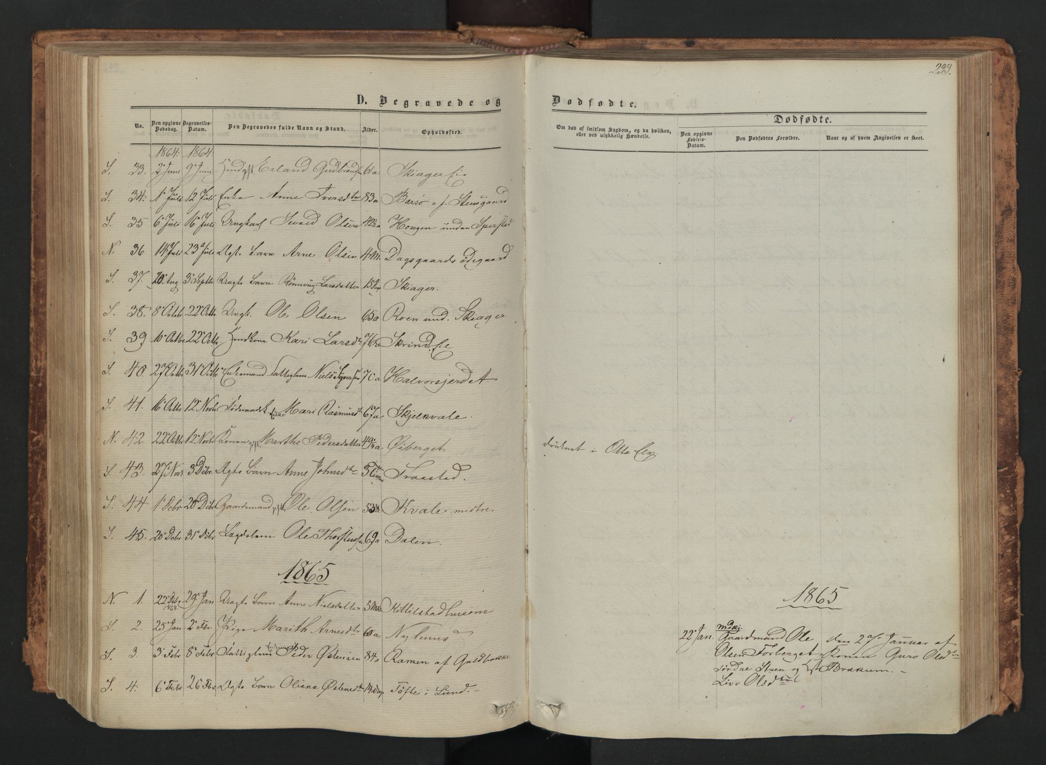 Skjåk prestekontor, SAH/PREST-072/H/Ha/Haa/L0001: Parish register (official) no. 1, 1863-1879, p. 233