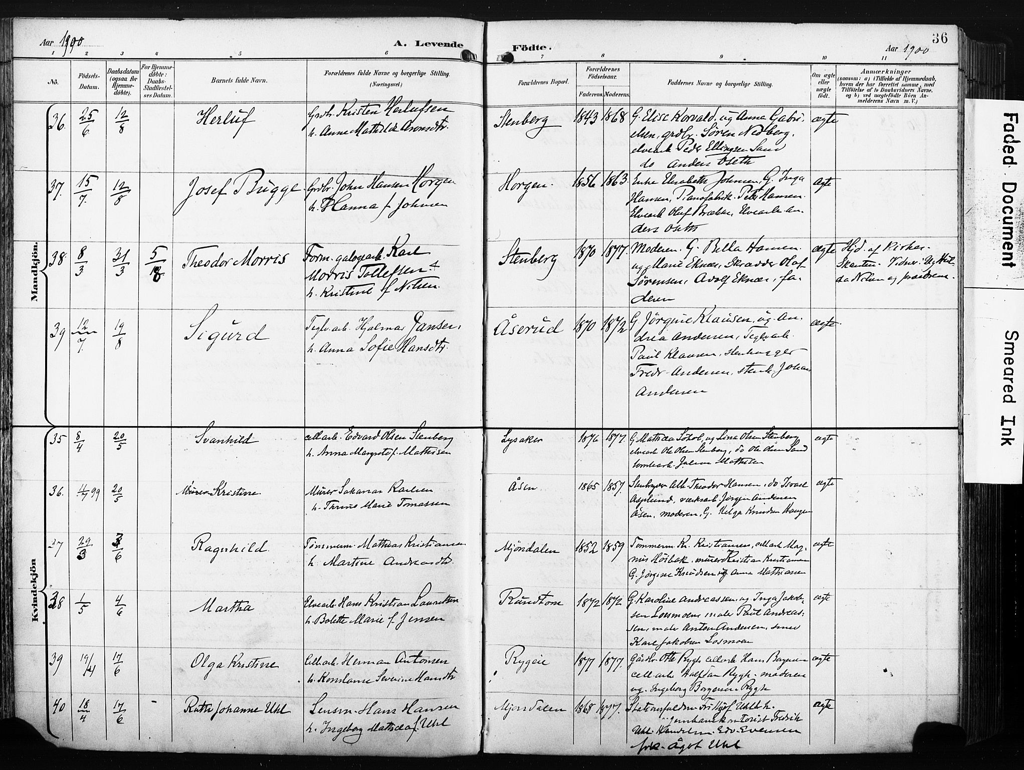 Nedre Eiker kirkebøker, AV/SAKO-A-612/F/Fa/L0005: Parish register (official) no. 5, 1898-1905, p. 36