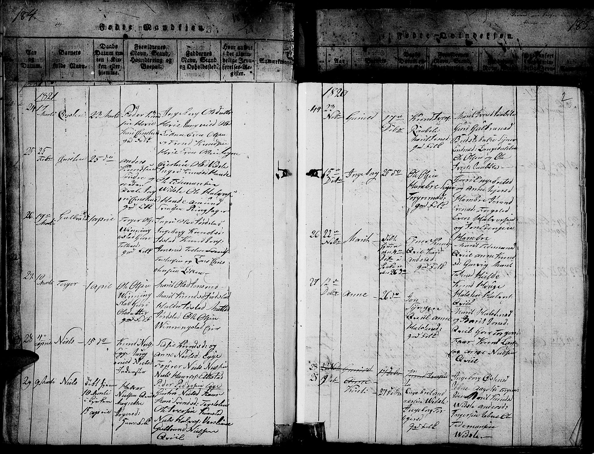 Slidre prestekontor, SAH/PREST-134/H/Ha/Haa/L0002: Parish register (official) no. 2, 1814-1830, p. 184b