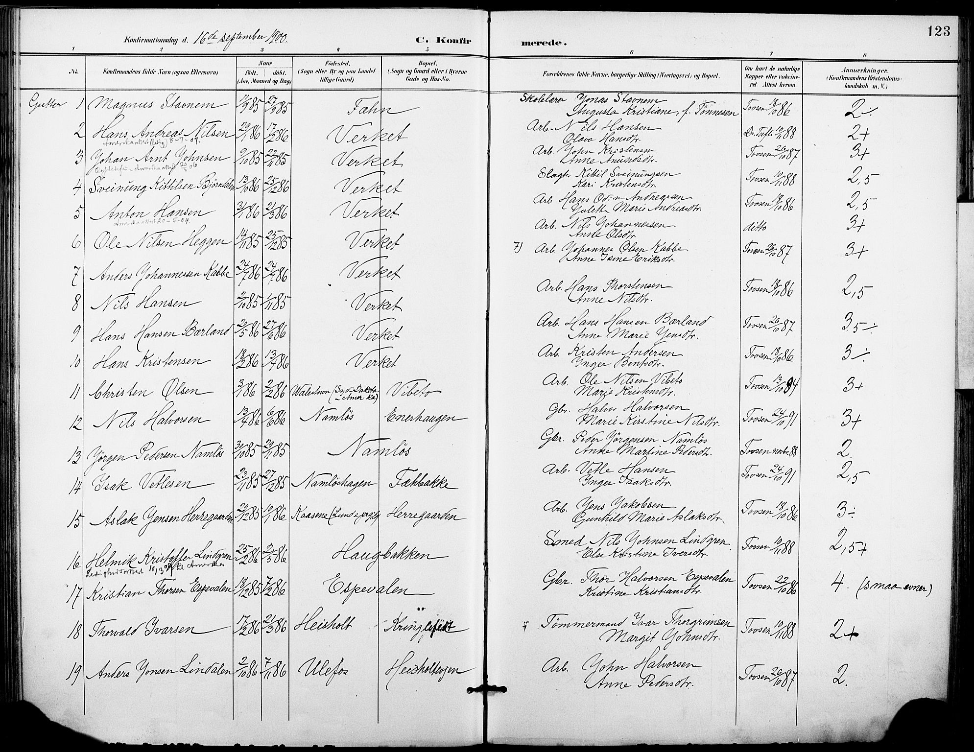 Holla kirkebøker, AV/SAKO-A-272/F/Fa/L0010: Parish register (official) no. 10, 1897-1907, p. 123