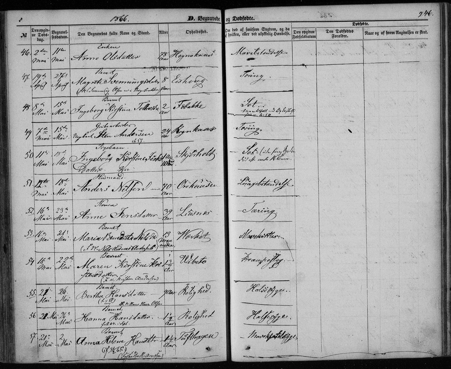 Holla kirkebøker, AV/SAKO-A-272/F/Fa/L0006: Parish register (official) no. 6, 1861-1869, p. 246