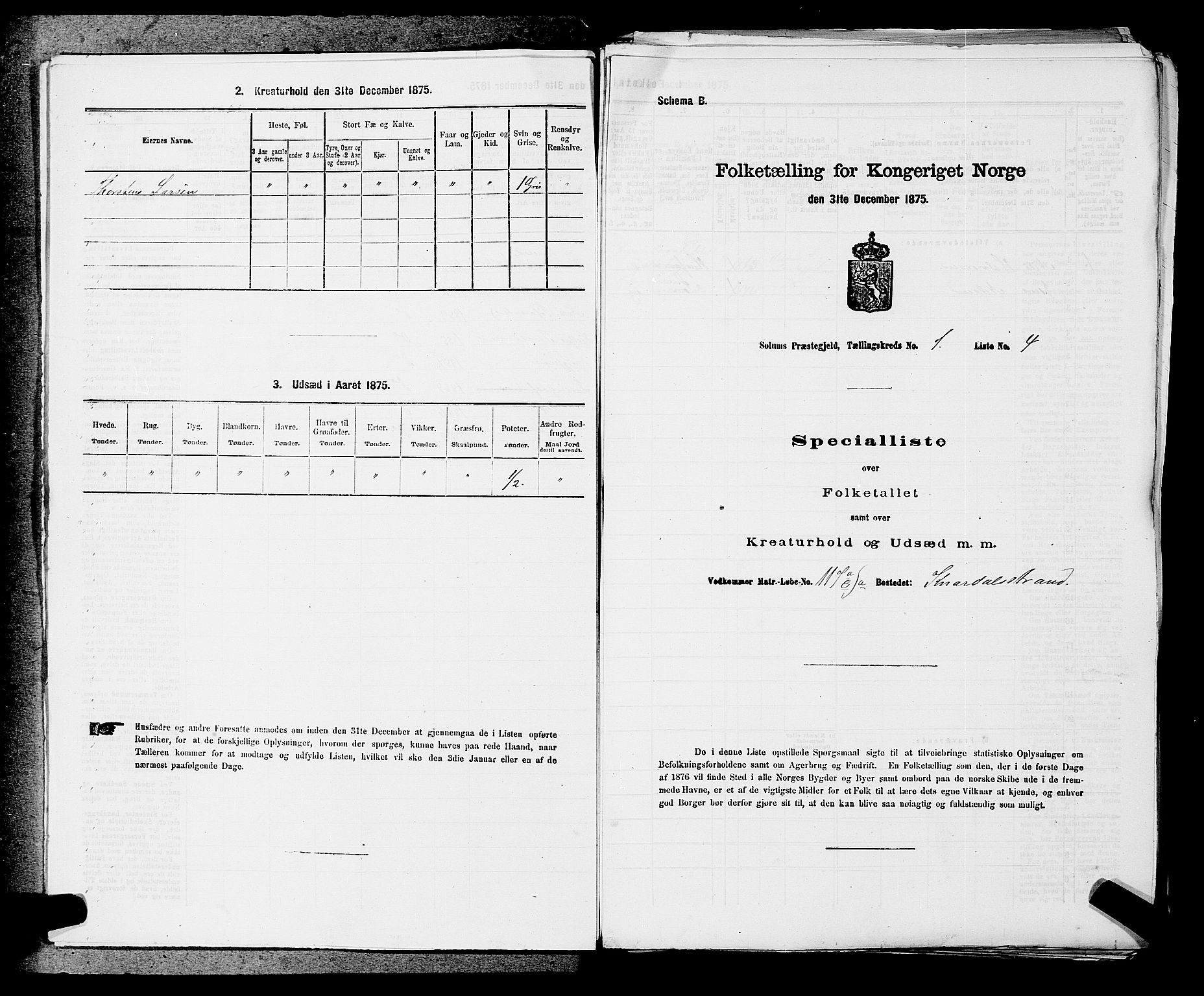 SAKO, 1875 census for 0818P Solum, 1875, p. 91