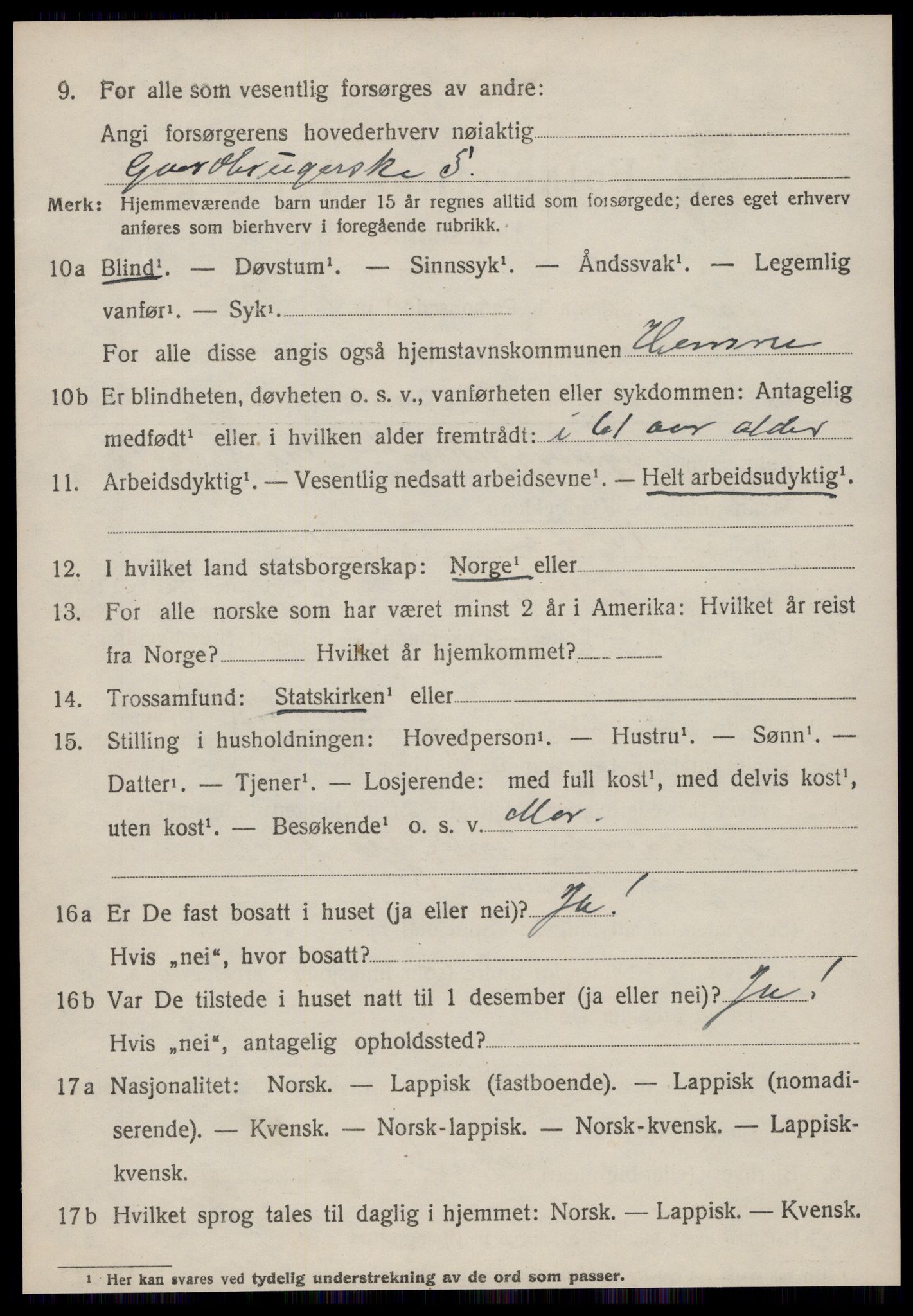 SAT, 1920 census for Hemne, 1920, p. 5015