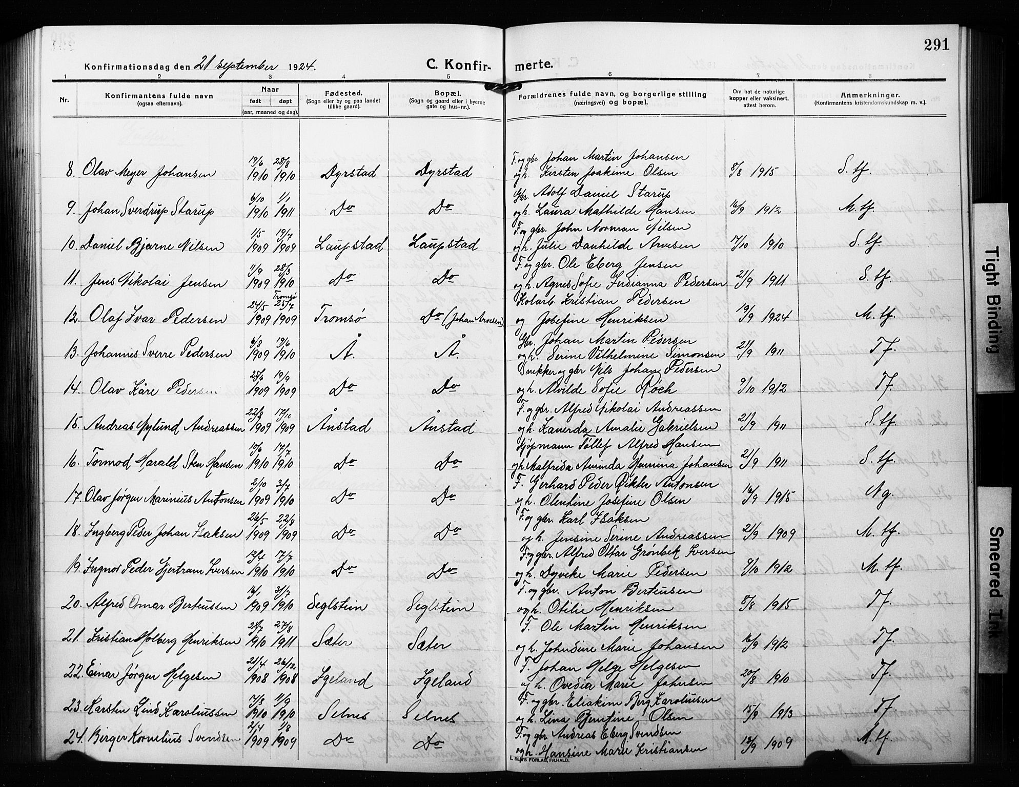 Ibestad sokneprestembete, AV/SATØ-S-0077/H/Ha/Hab/L0010klokker: Parish register (copy) no. 10, 1915-1929, p. 291
