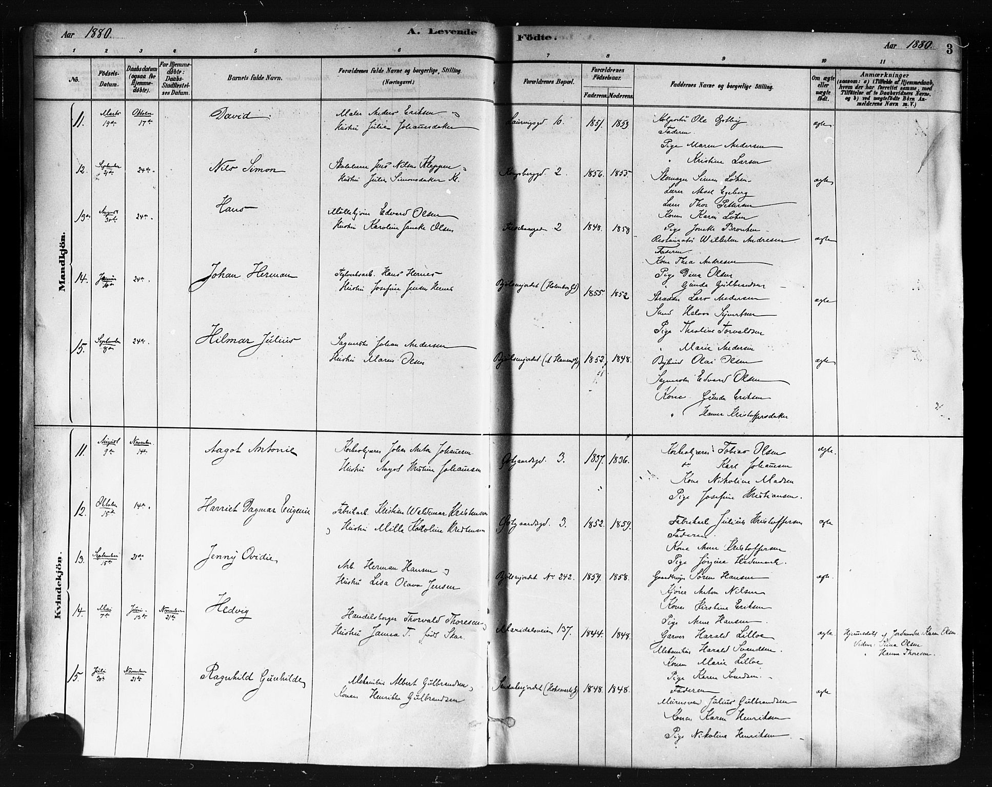 Sagene prestekontor Kirkebøker, AV/SAO-A-10796/F/L0001: Parish register (official) no. 1, 1880-1893, p. 3
