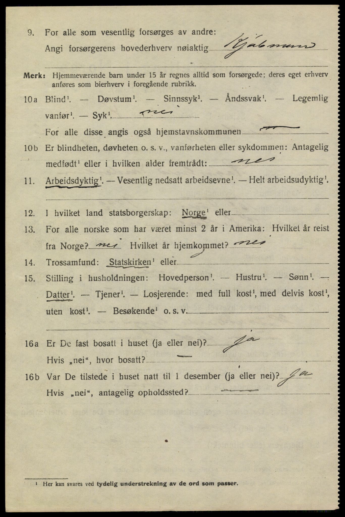 SAKO, 1920 census for Stathelle, 1920, p. 1070