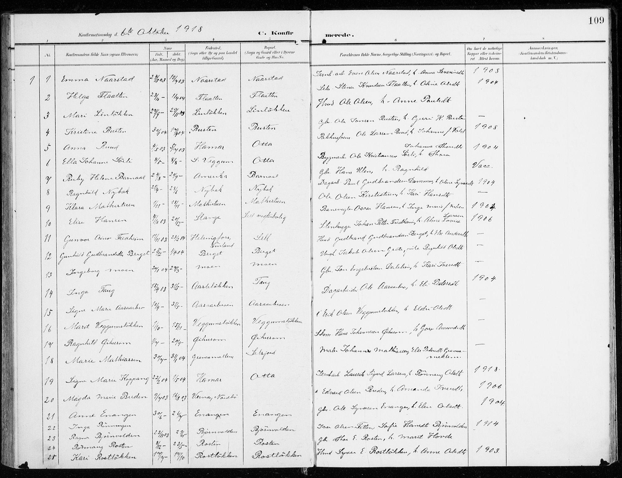 Sel prestekontor, AV/SAH-PREST-074/H/Ha/Haa/L0002: Parish register (official) no. 2, 1905-1919, p. 109