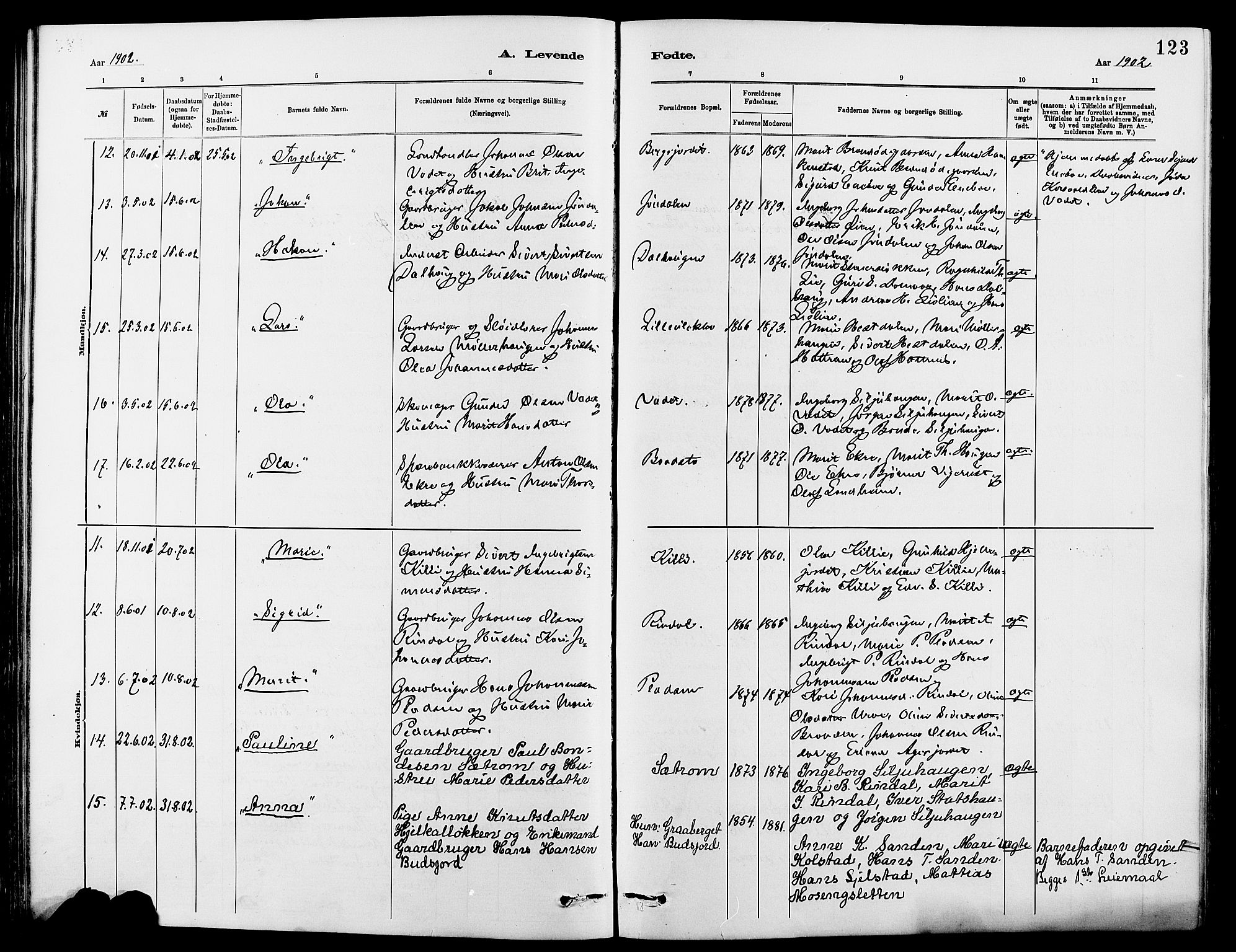 Dovre prestekontor, AV/SAH-PREST-066/H/Ha/Hab/L0002: Parish register (copy) no. 2, 1881-1907, p. 123