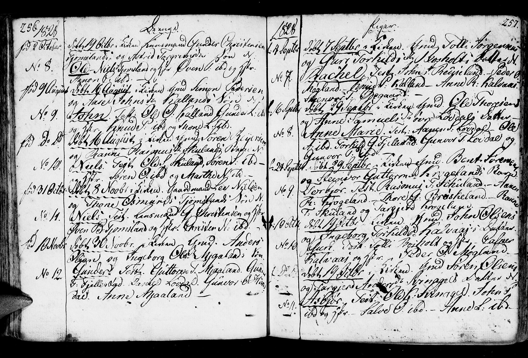 Holum sokneprestkontor, SAK/1111-0022/F/Fa/Fab/L0004: Parish register (official) no. A 4, 1774-1847, p. 256-257