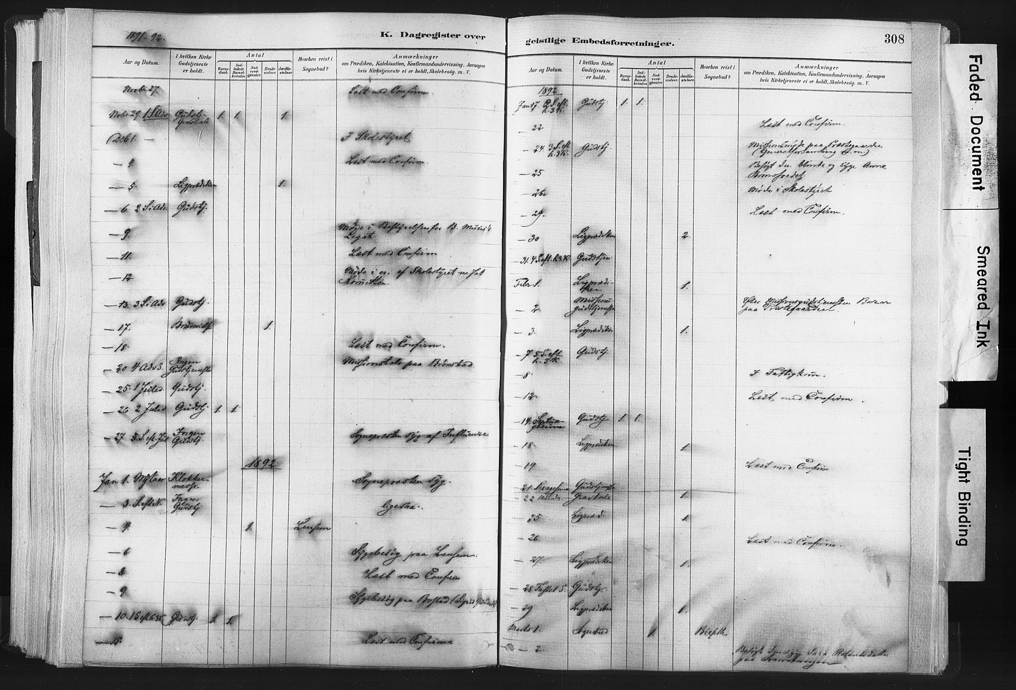 Ministerialprotokoller, klokkerbøker og fødselsregistre - Nord-Trøndelag, SAT/A-1458/749/L0474: Parish register (official) no. 749A08, 1887-1903, p. 308