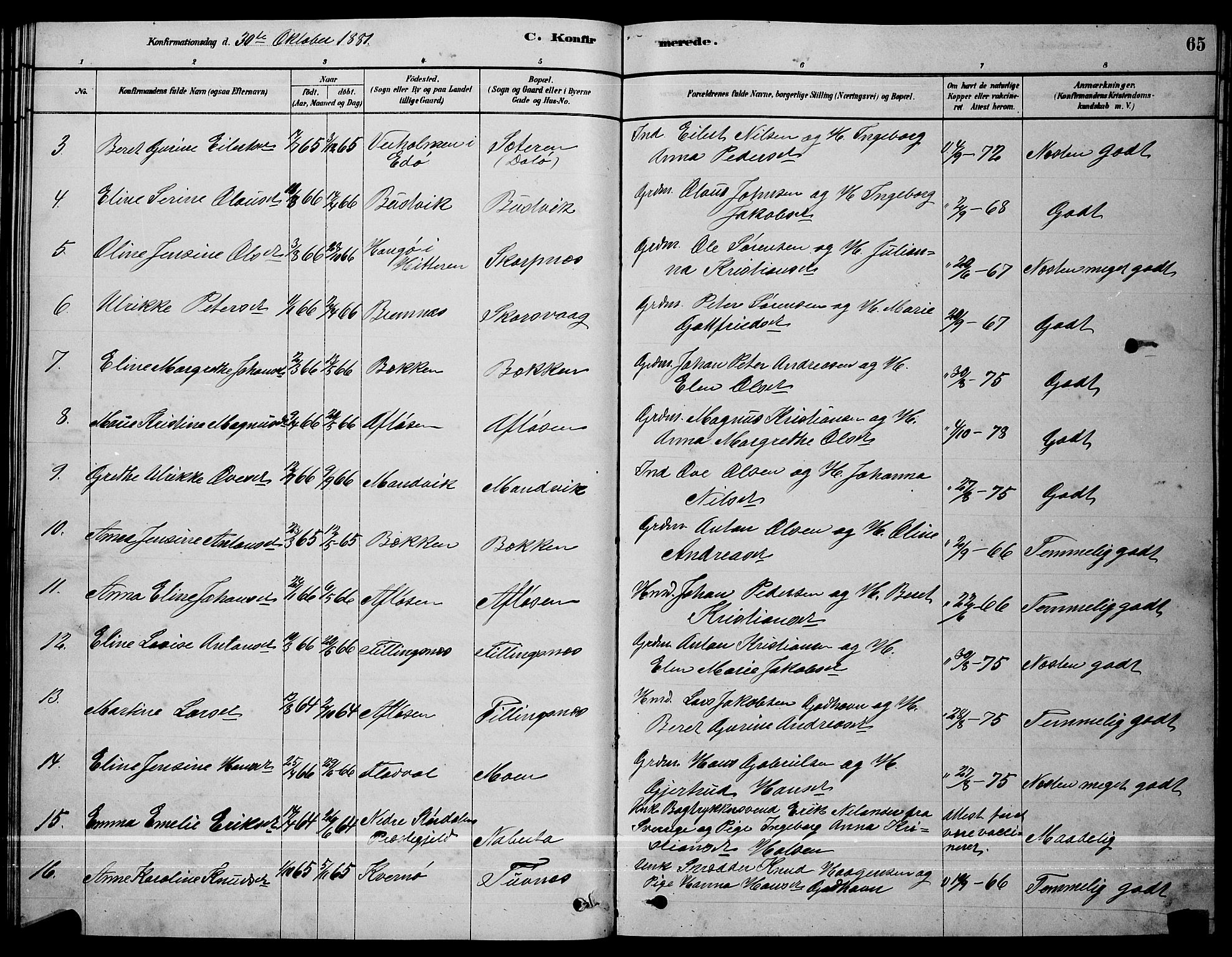 Ministerialprotokoller, klokkerbøker og fødselsregistre - Sør-Trøndelag, SAT/A-1456/641/L0597: Parish register (copy) no. 641C01, 1878-1893, p. 65