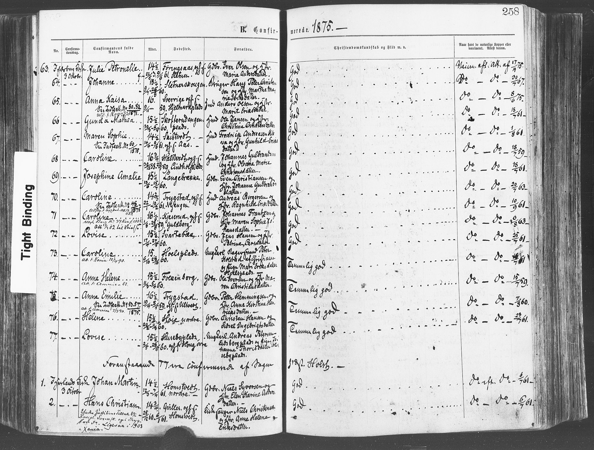 Eidsberg prestekontor Kirkebøker, SAO/A-10905/F/Fa/L0011: Parish register (official) no. I 11, 1867-1878, p. 258