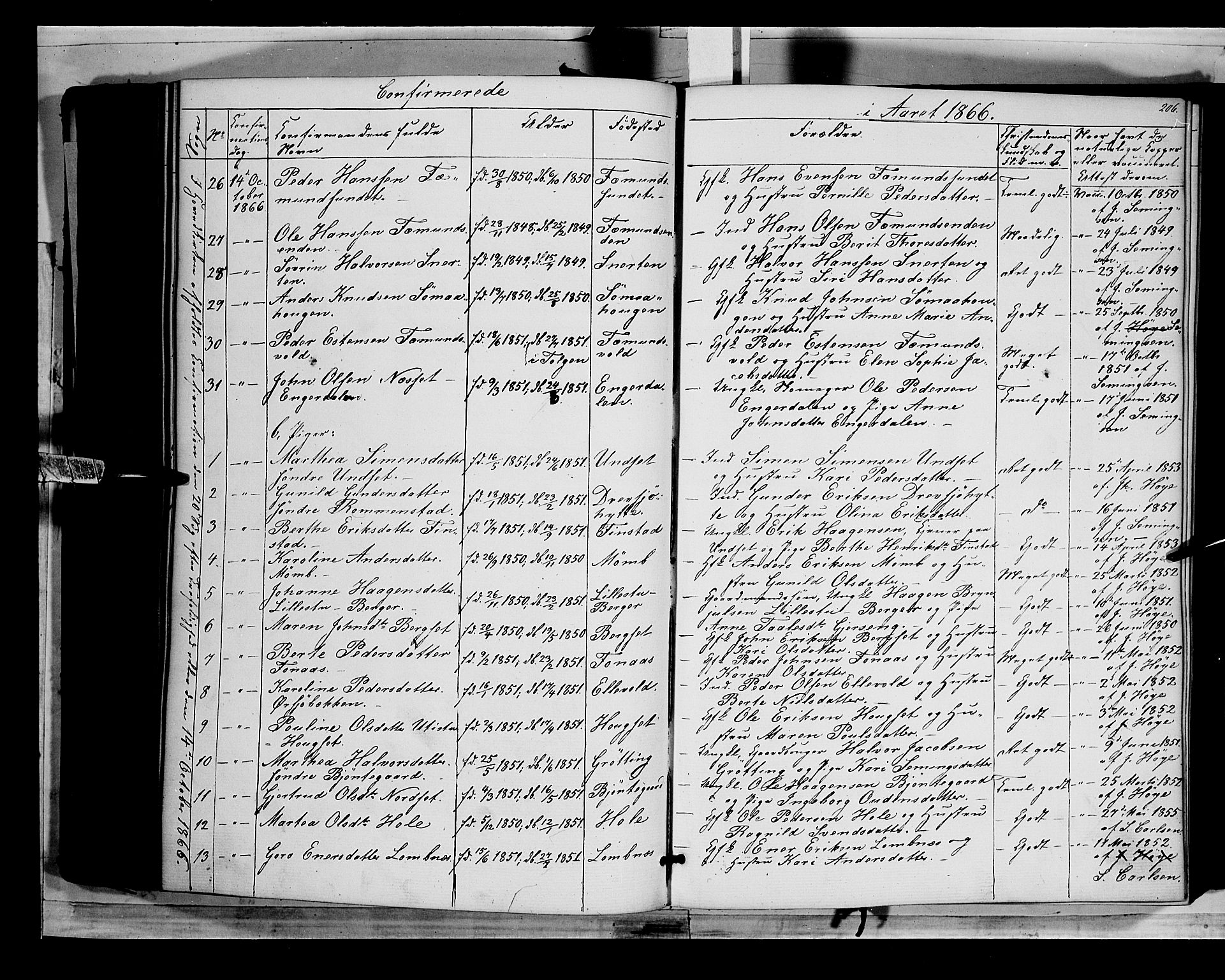 Rendalen prestekontor, SAH/PREST-054/H/Ha/Haa/L0005: Parish register (official) no. 5, 1853-1866, p. 206