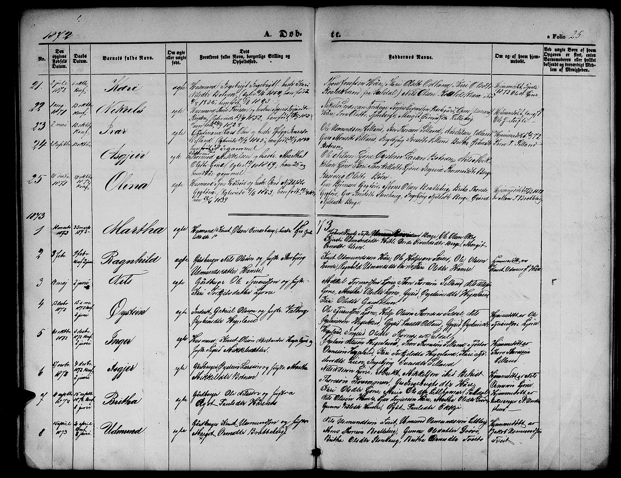 Røldal sokneprestembete, SAB/A-100247: Parish register (copy) no. A 2, 1861-1886, p. 25