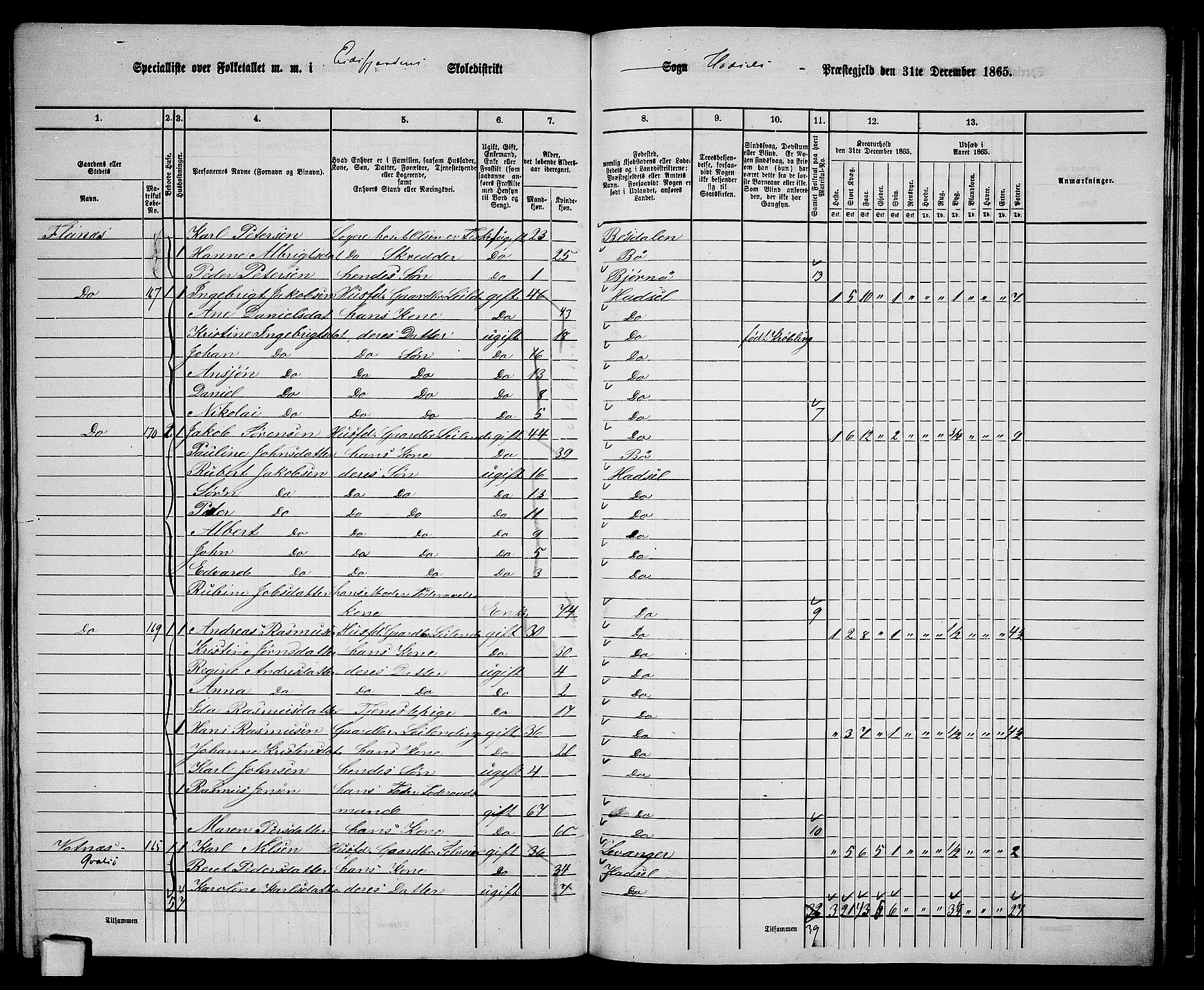 RA, 1865 census for Hadsel, 1865, p. 132