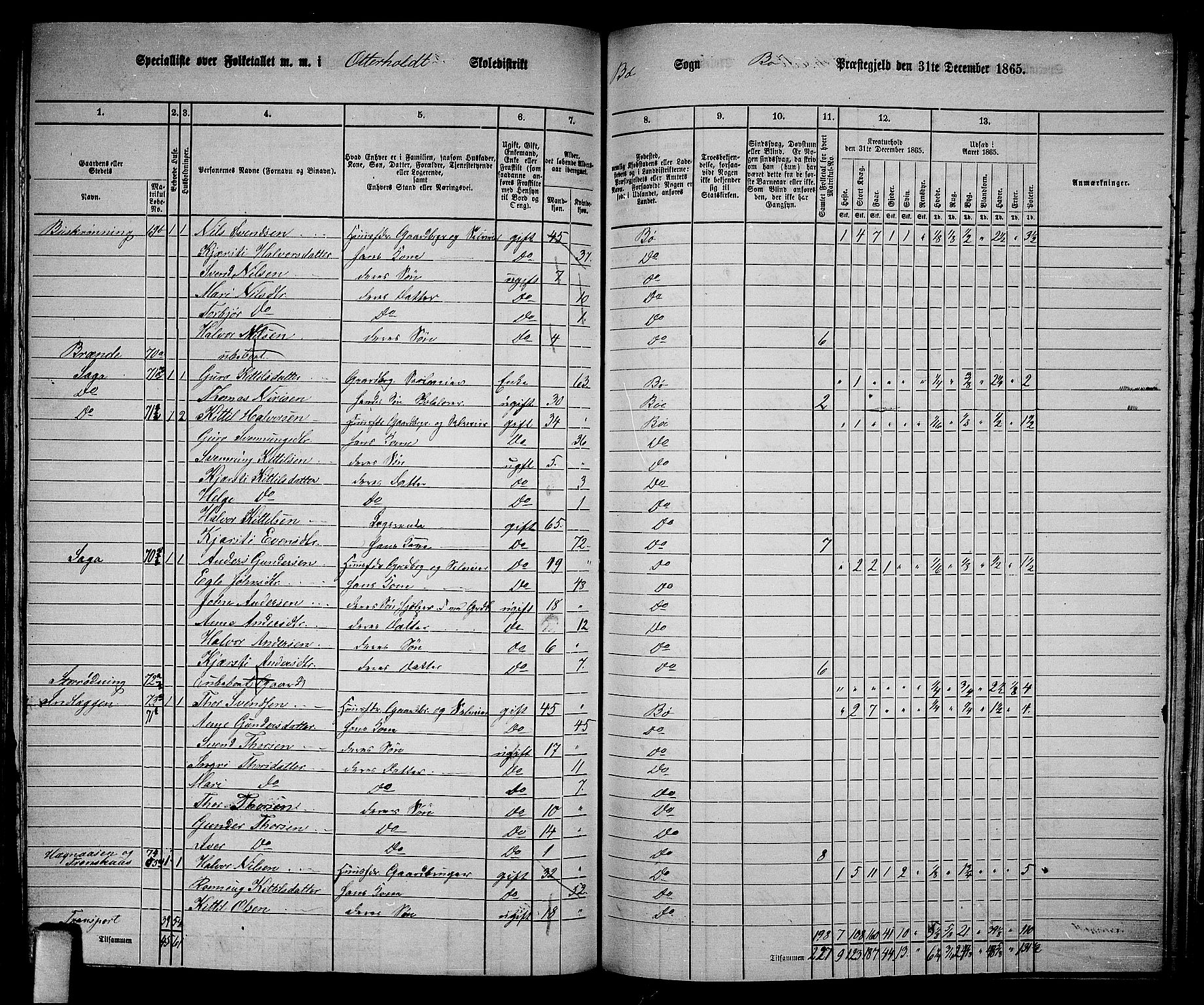 RA, 1865 census for Bø, 1865, p. 166