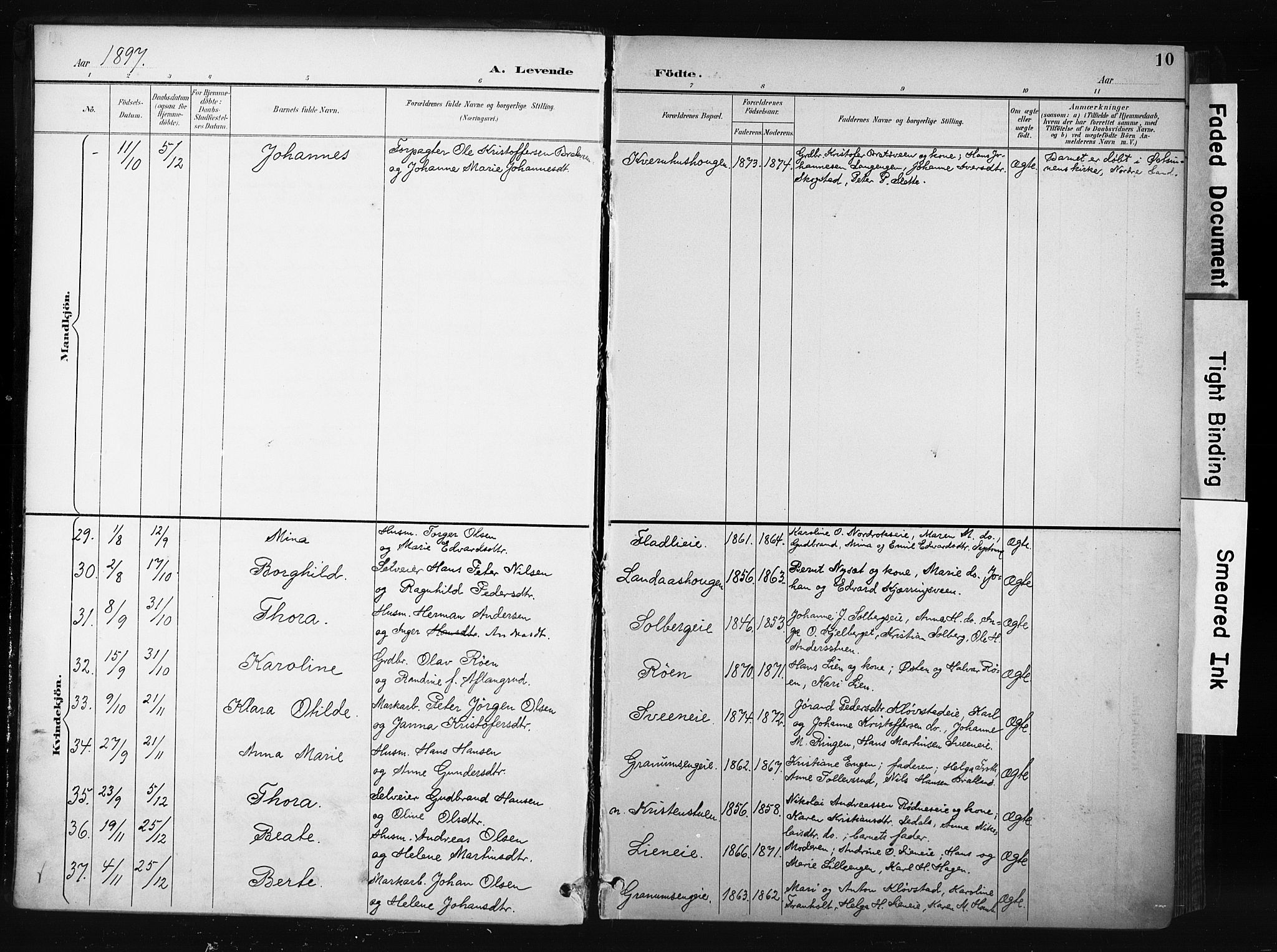 Søndre Land prestekontor, AV/SAH-PREST-122/K/L0004: Parish register (official) no. 4, 1895-1904, p. 10