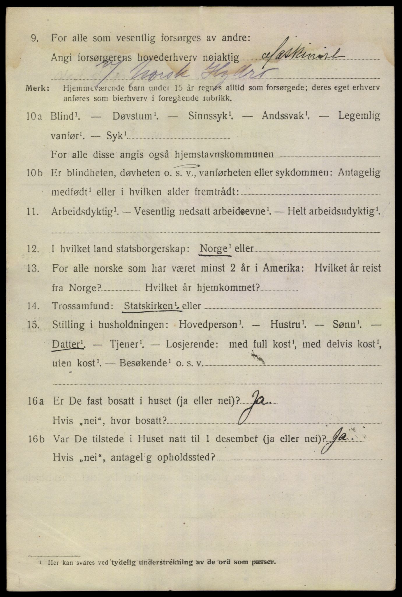 SAKO, 1920 census for Notodden, 1920, p. 11521