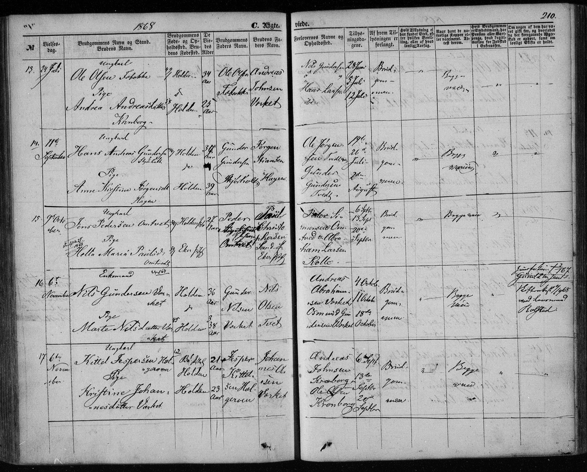 Holla kirkebøker, AV/SAKO-A-272/F/Fa/L0006: Parish register (official) no. 6, 1861-1869, p. 210