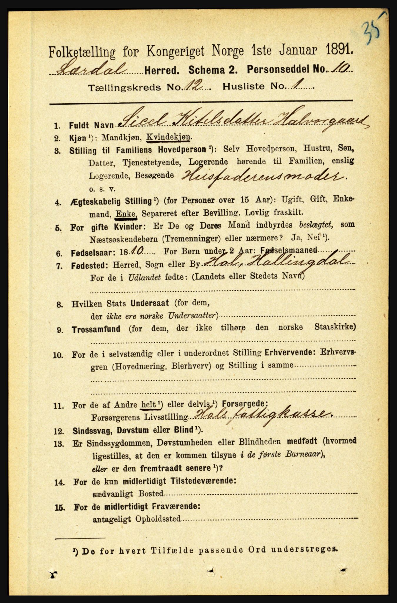 RA, 1891 census for 1422 Lærdal, 1891, p. 2557