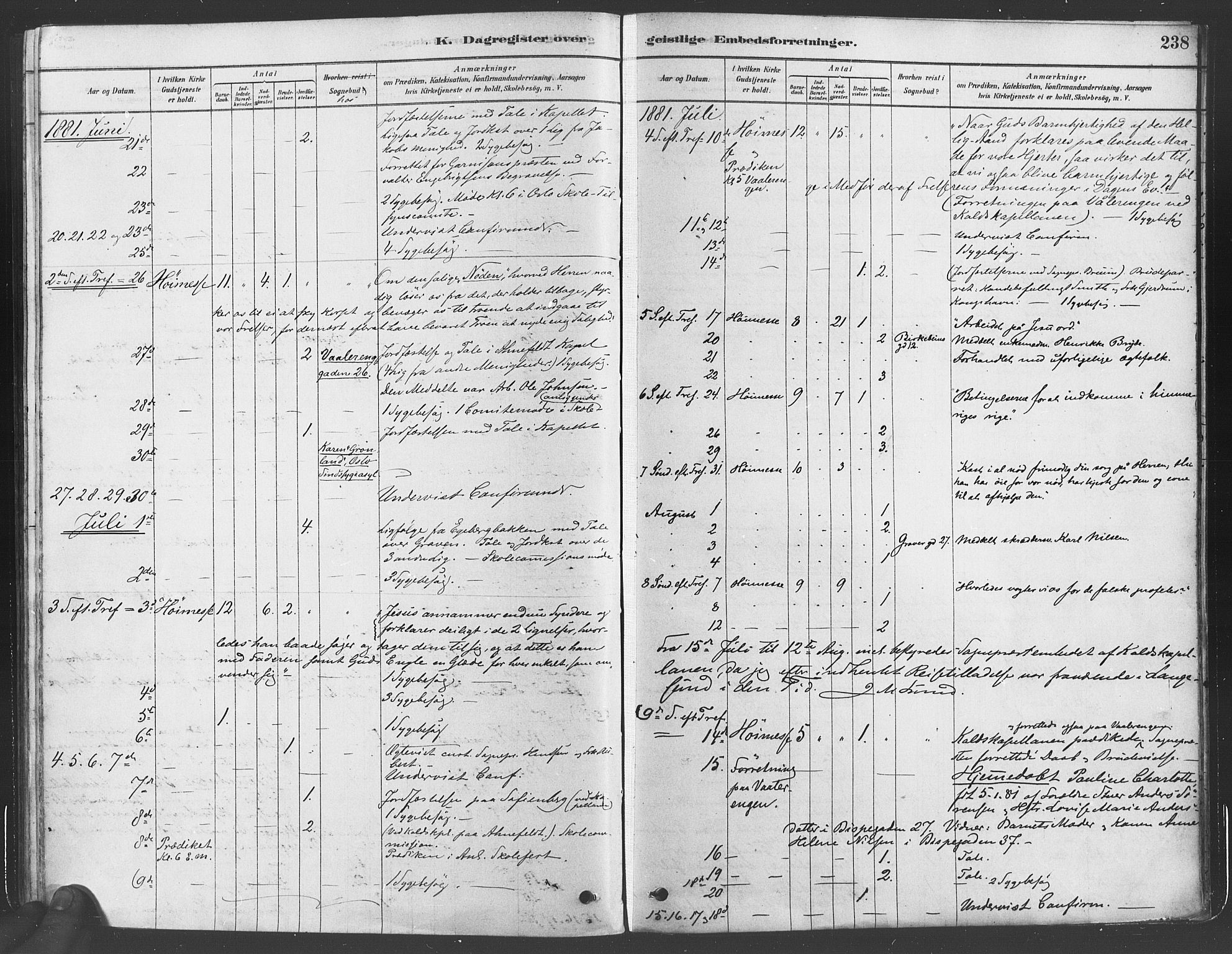 Gamlebyen prestekontor Kirkebøker, AV/SAO-A-10884/F/Fa/L0005: Parish register (official) no. 5, 1878-1889, p. 238