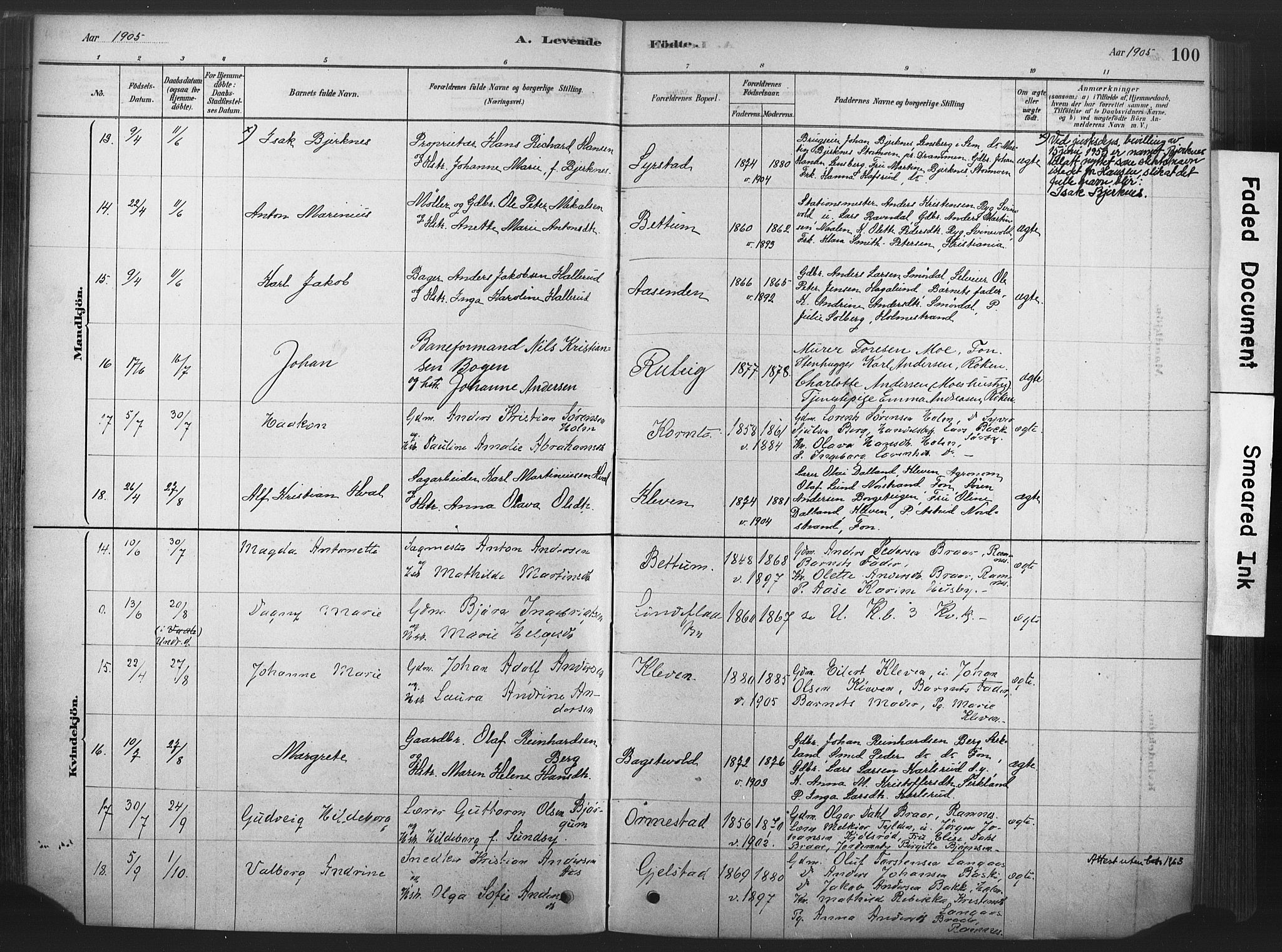 Våle kirkebøker, SAKO/A-334/F/Fa/L0011: Parish register (official) no. I 11, 1878-1906, p. 100