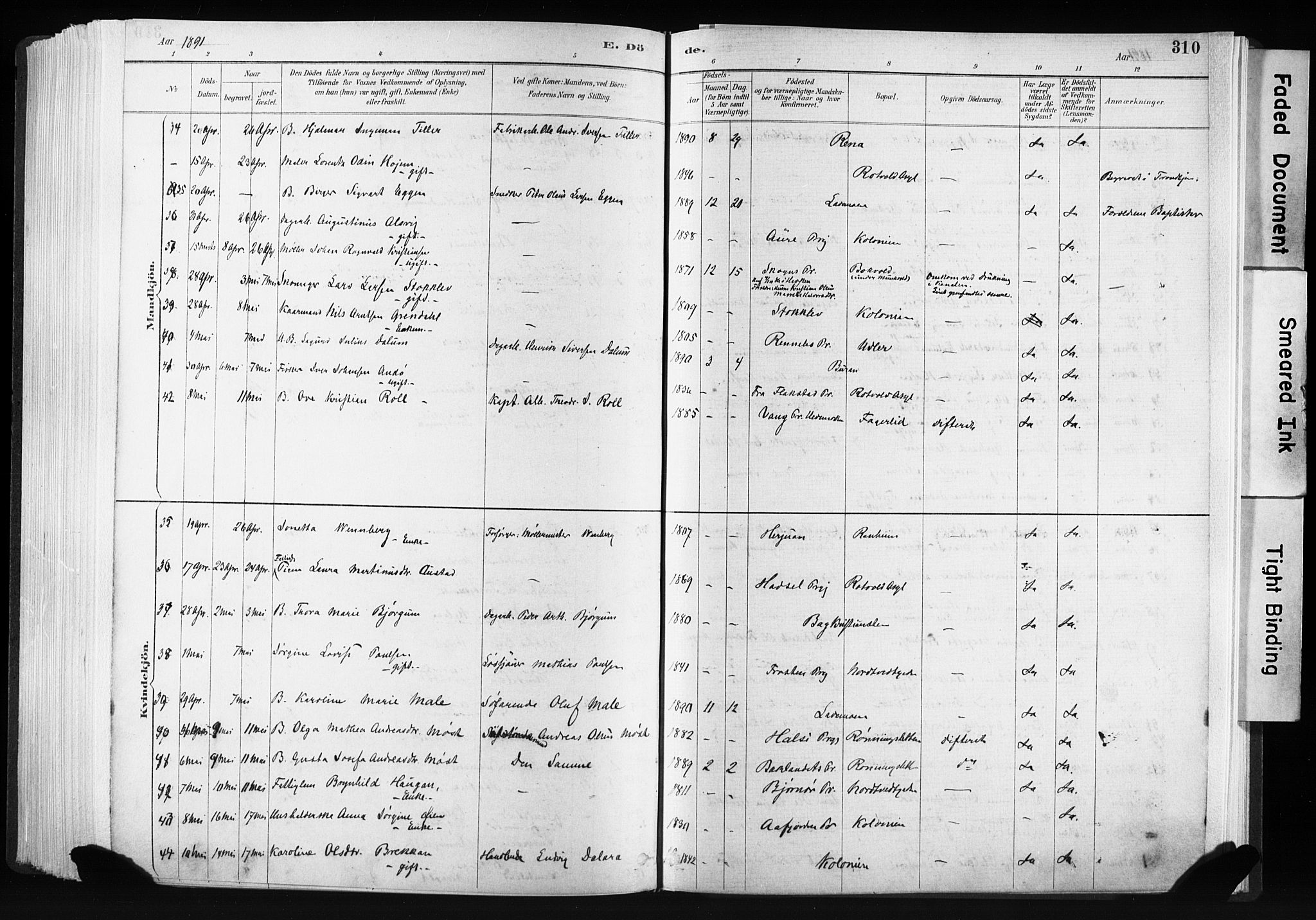 Ministerialprotokoller, klokkerbøker og fødselsregistre - Sør-Trøndelag, SAT/A-1456/606/L0300: Parish register (official) no. 606A15, 1886-1893, p. 310