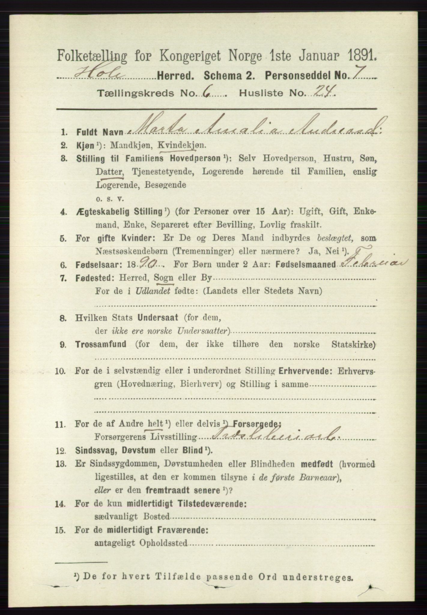 RA, 1891 census for 0612 Hole, 1891, p. 3278