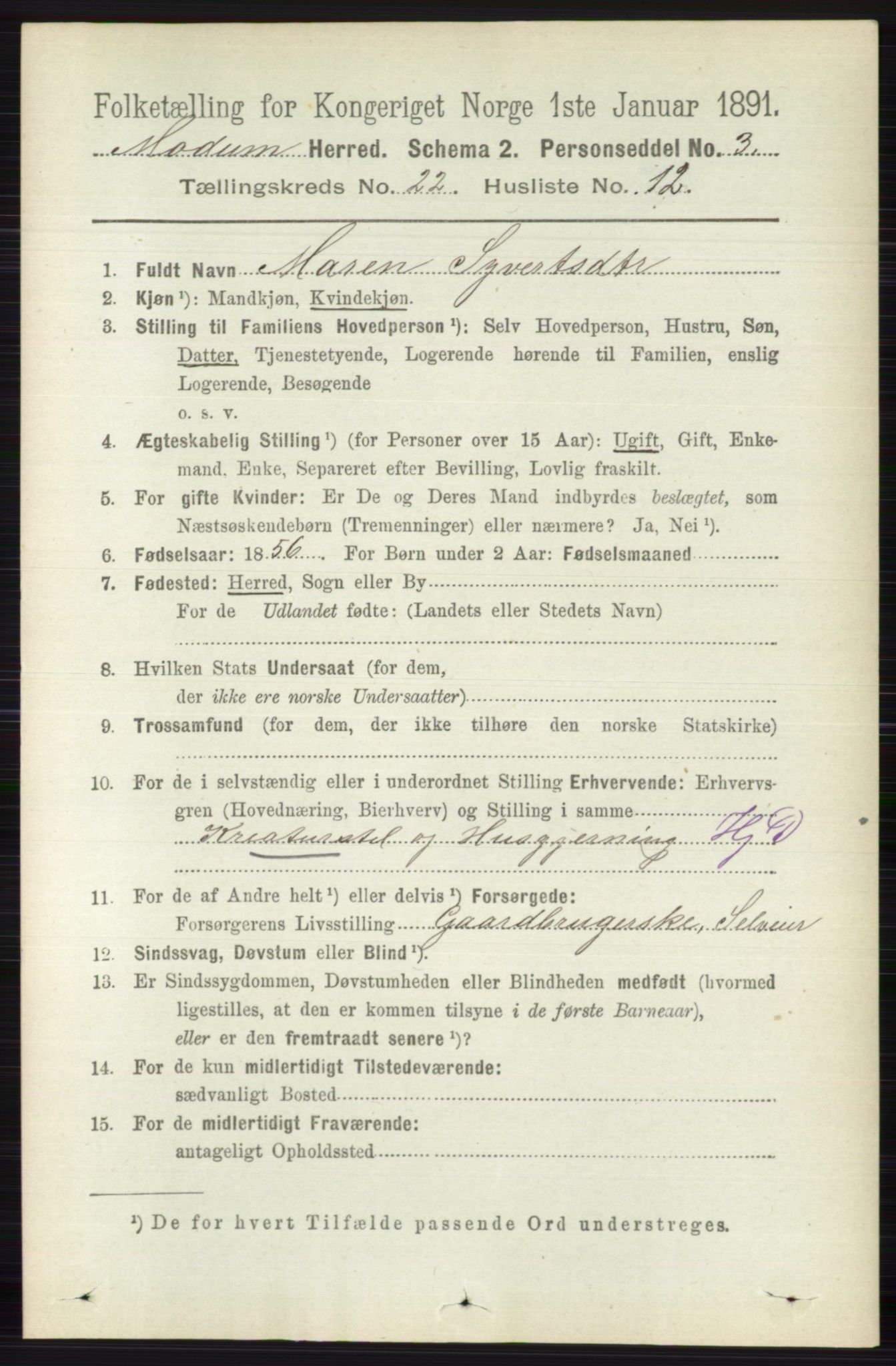 RA, 1891 census for 0623 Modum, 1891, p. 8448