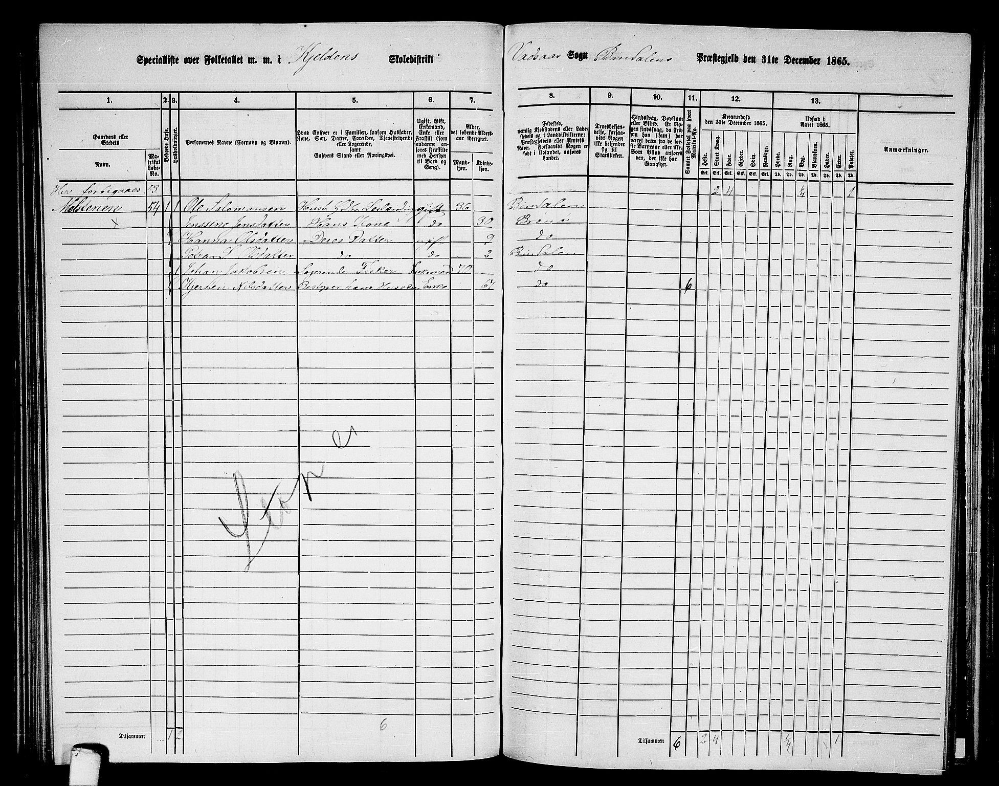 RA, 1865 census for Bindal, 1865, p. 69