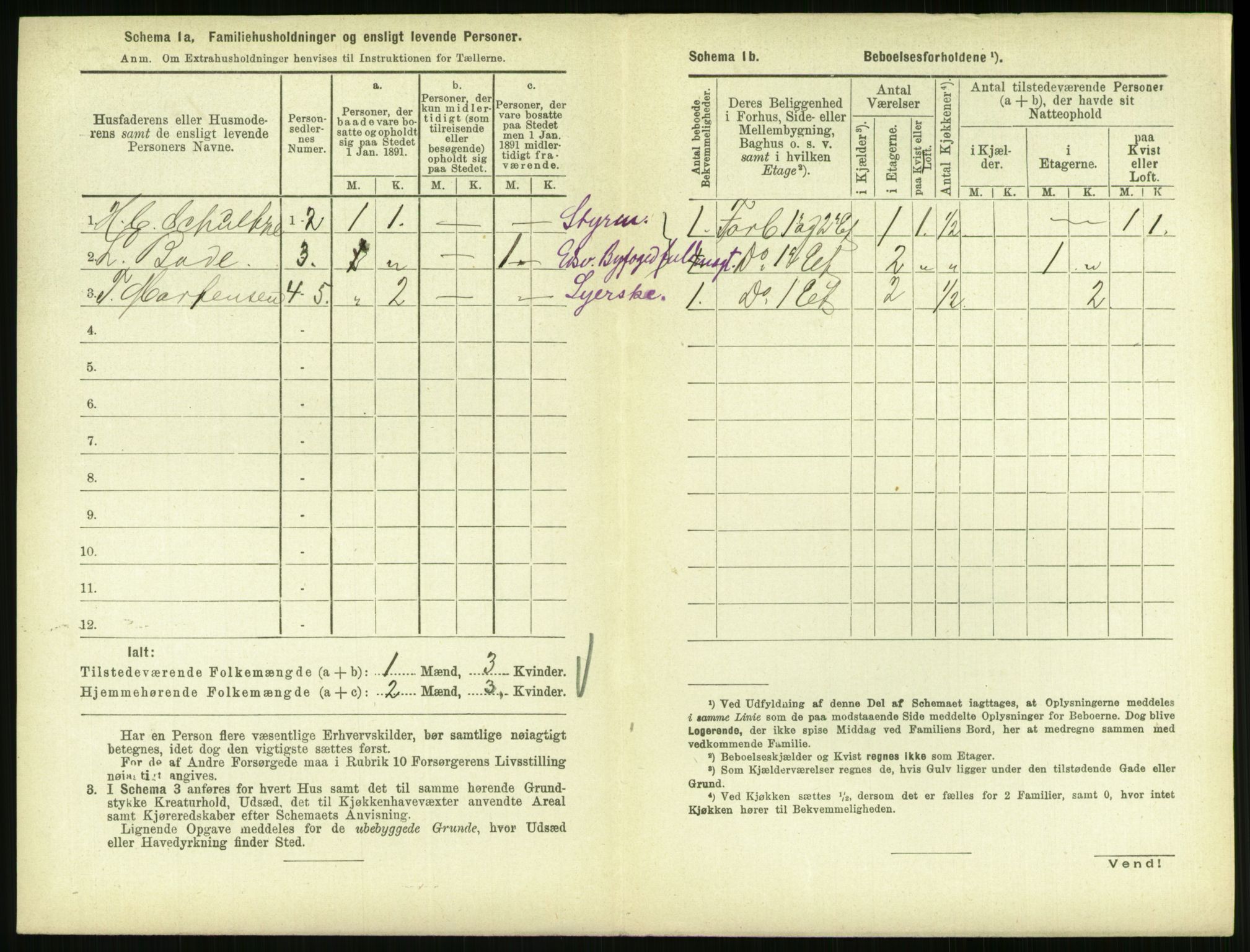 RA, 1891 census for 0707 Larvik, 1891, p. 800