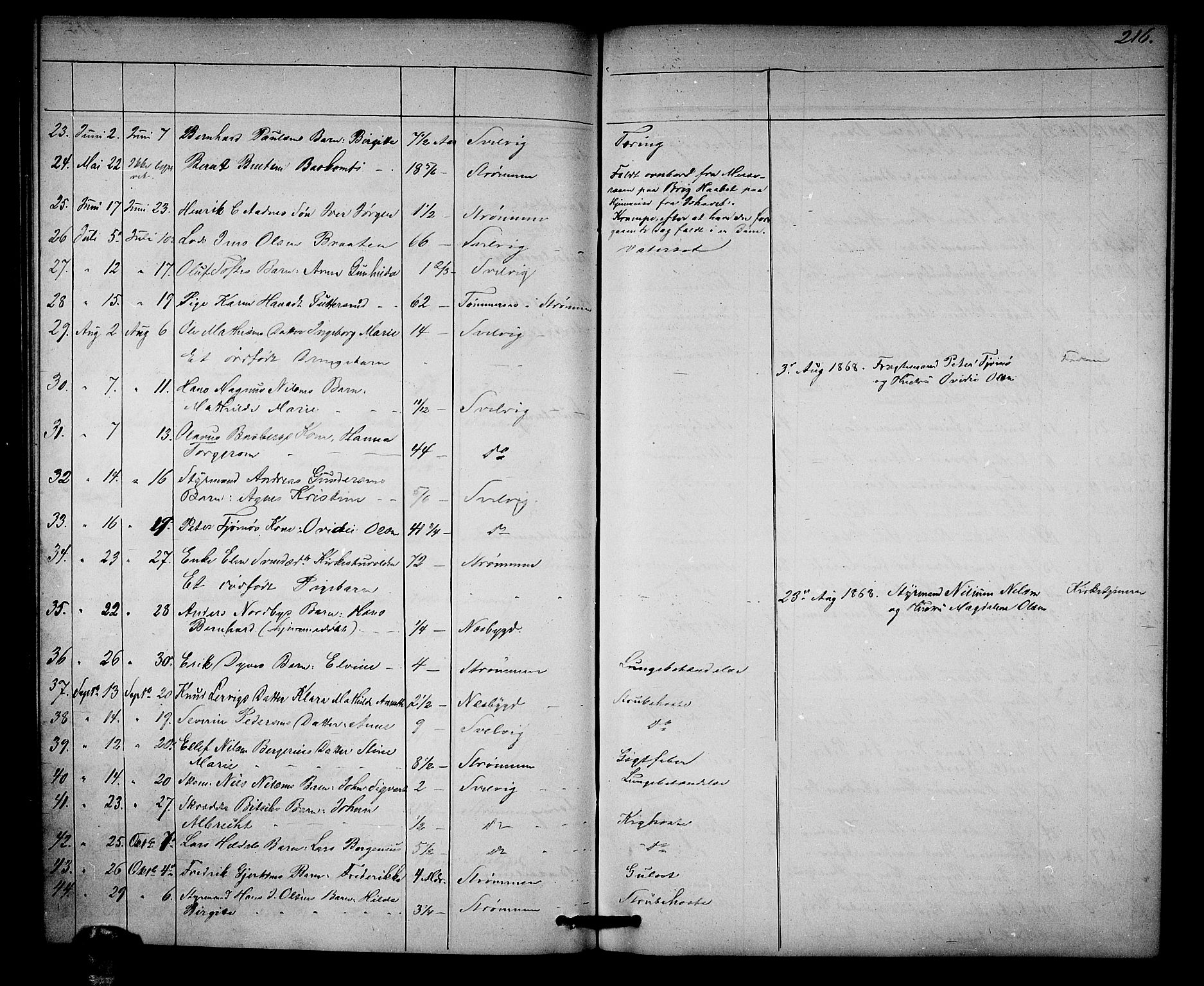 Strømm kirkebøker, AV/SAKO-A-322/G/Ga/L0001: Parish register (copy) no. I 1, 1861-1885, p. 216