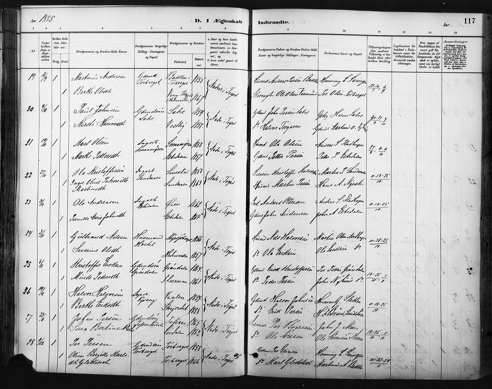 Trysil prestekontor, AV/SAH-PREST-046/H/Ha/Haa/L0009: Parish register (official) no. 9, 1881-1897, p. 117