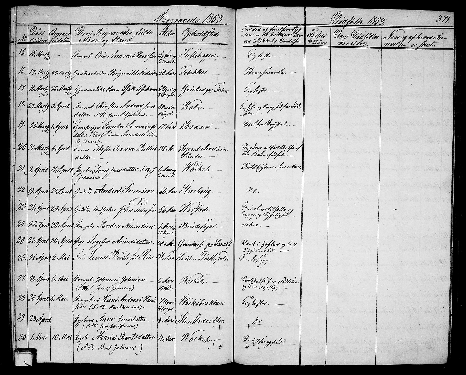 Holla kirkebøker, AV/SAKO-A-272/G/Ga/L0003: Parish register (copy) no. I 3, 1849-1866, p. 371