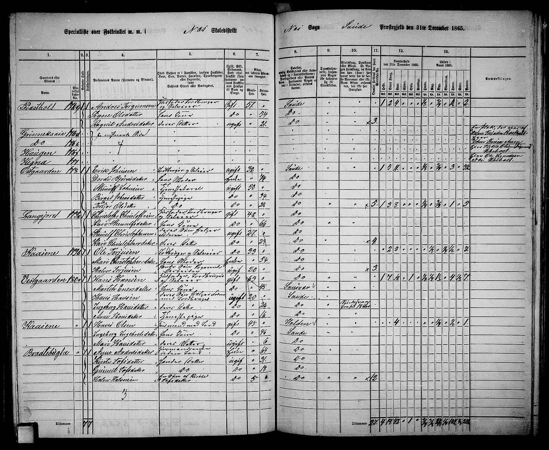 RA, 1865 census for Sauherad, 1865, p. 123