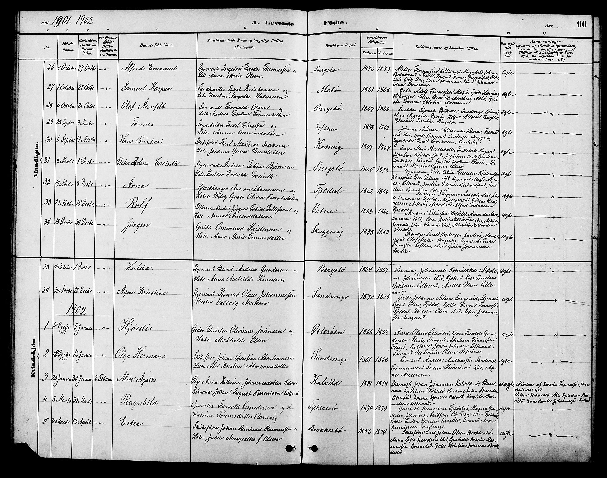 Vestre Moland sokneprestkontor, SAK/1111-0046/F/Fb/Fbb/L0006: Parish register (copy) no. B 6, 1884-1905, p. 96