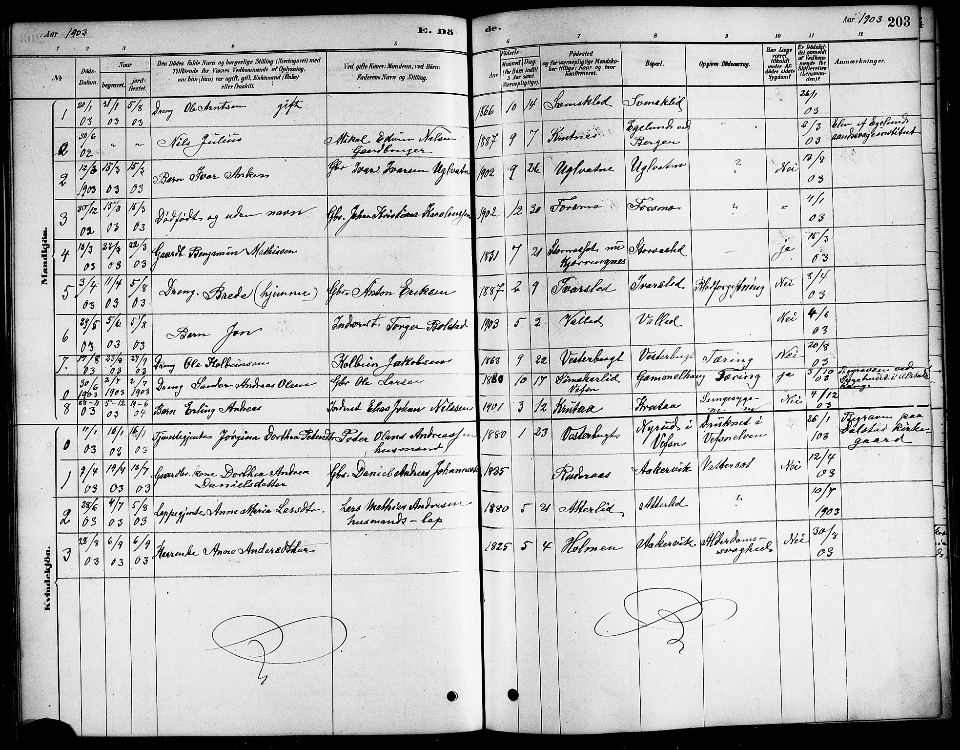 Ministerialprotokoller, klokkerbøker og fødselsregistre - Nordland, SAT/A-1459/823/L0330: Parish register (copy) no. 823C02, 1879-1916, p. 203