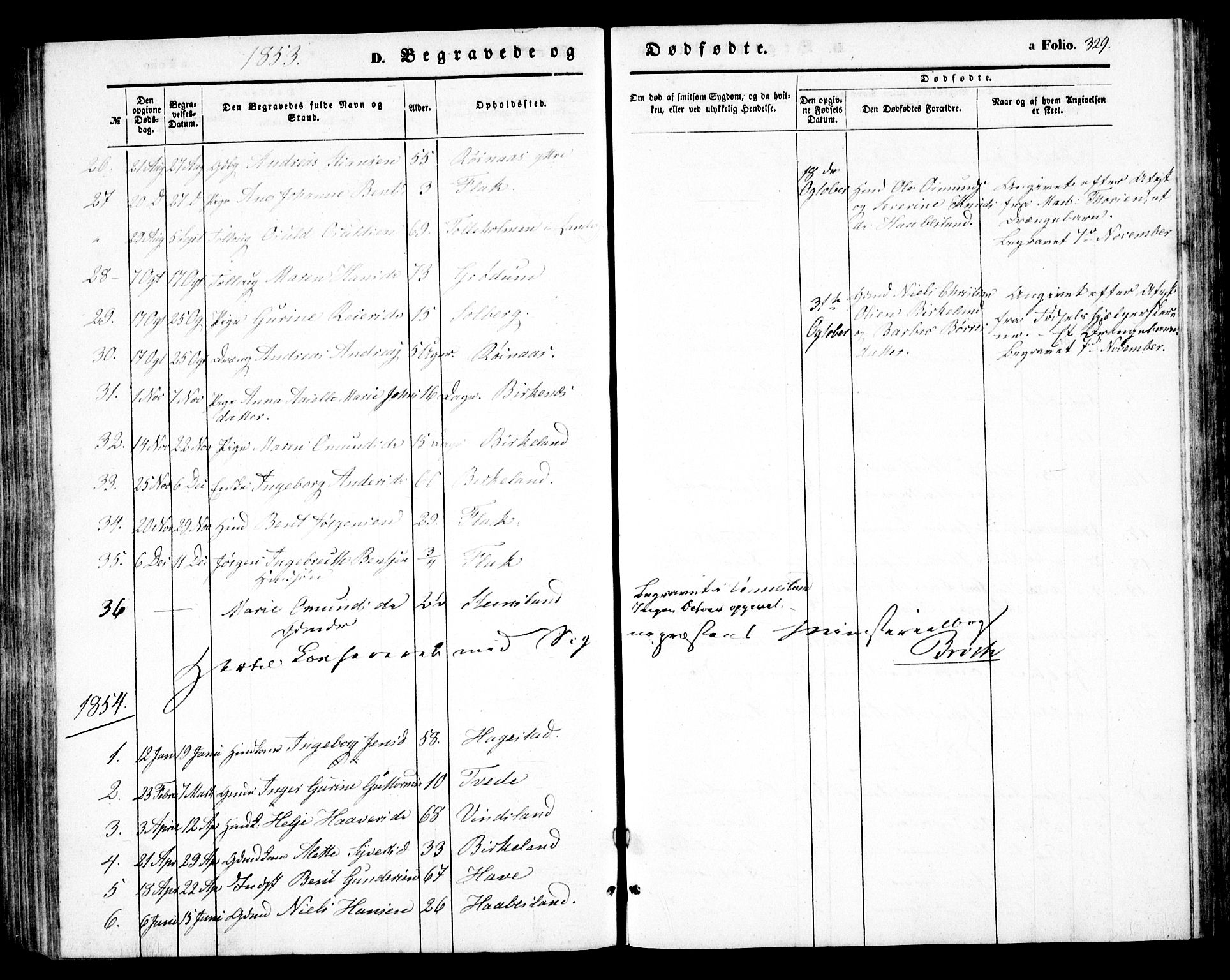 Birkenes sokneprestkontor, AV/SAK-1111-0004/F/Fb/L0002: Parish register (copy) no. B 2, 1849-1876, p. 329