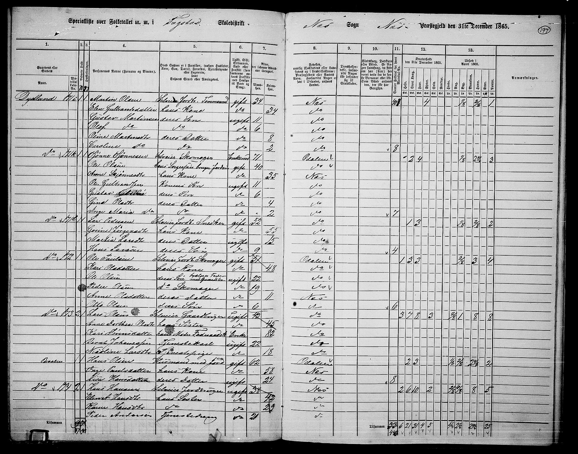 RA, 1865 census for Nes, 1865, p. 180