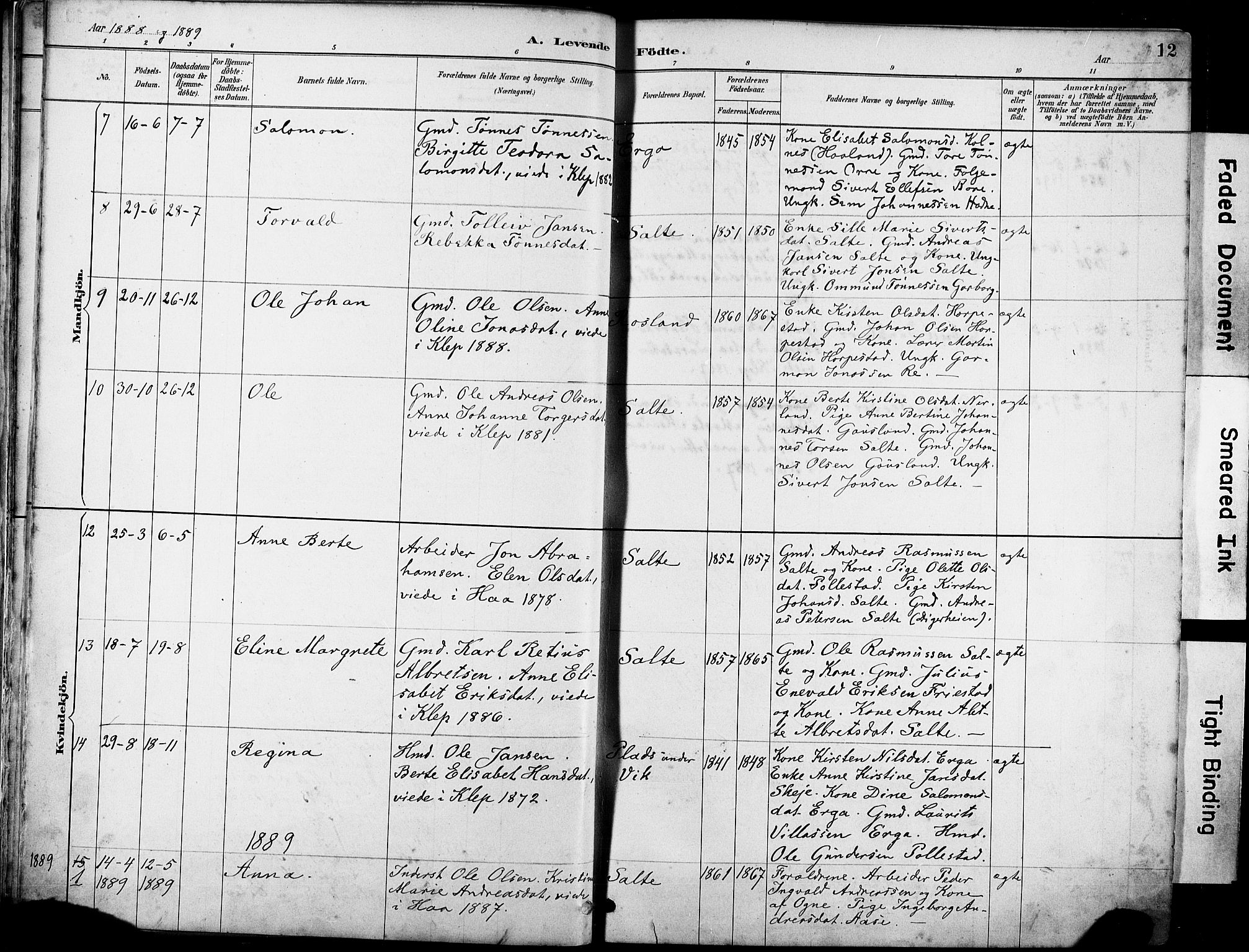 Klepp sokneprestkontor, AV/SAST-A-101803/001/3/30BA/L0007: Parish register (official) no. A 8, 1886-1912, p. 12