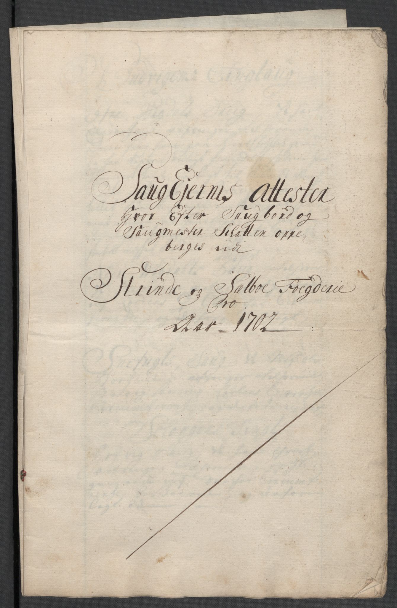 Rentekammeret inntil 1814, Reviderte regnskaper, Fogderegnskap, RA/EA-4092/R61/L4108: Fogderegnskap Strinda og Selbu, 1701-1703, p. 180
