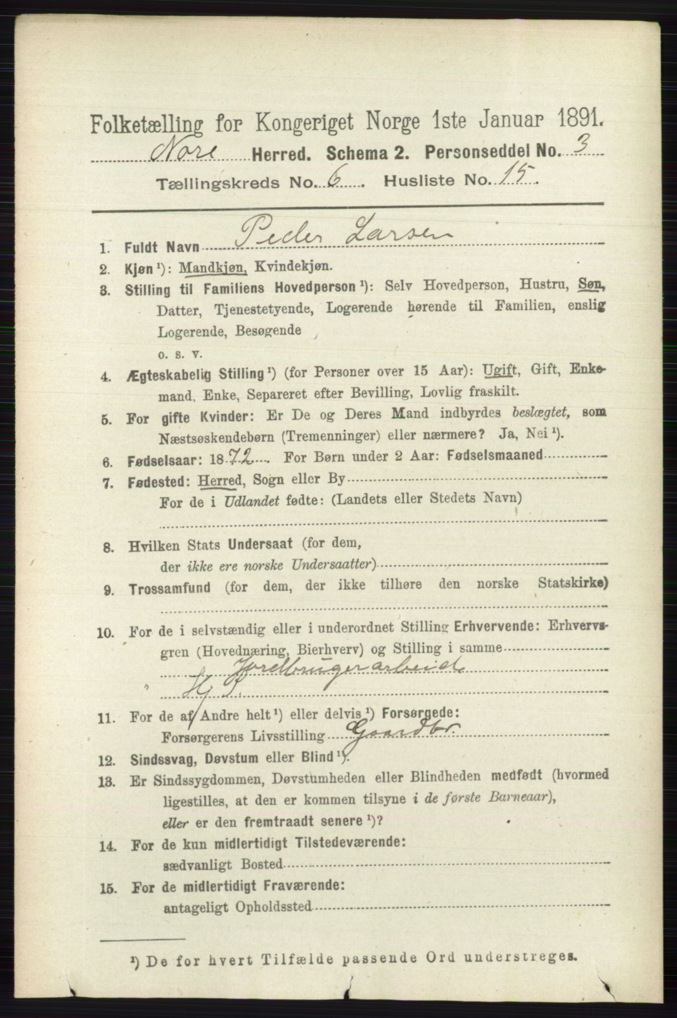 RA, 1891 census for 0633 Nore, 1891, p. 2073